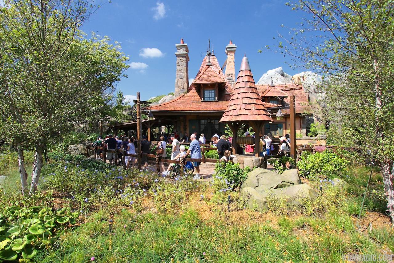 PHOTOS - Step inside new Fantasyland's Enchanted Forest