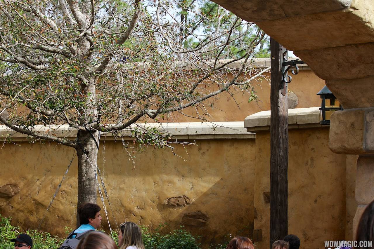 PHOTOS - Backstage show building now hidden from view in Belle's Village