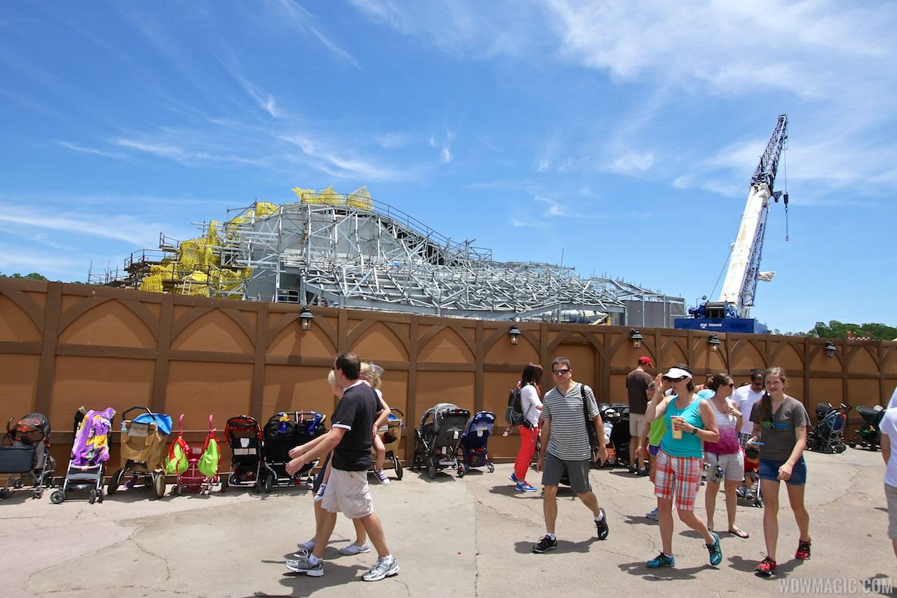 PHOTOS - Trees now in place at Seven Dwarfs Mine Train coaster
