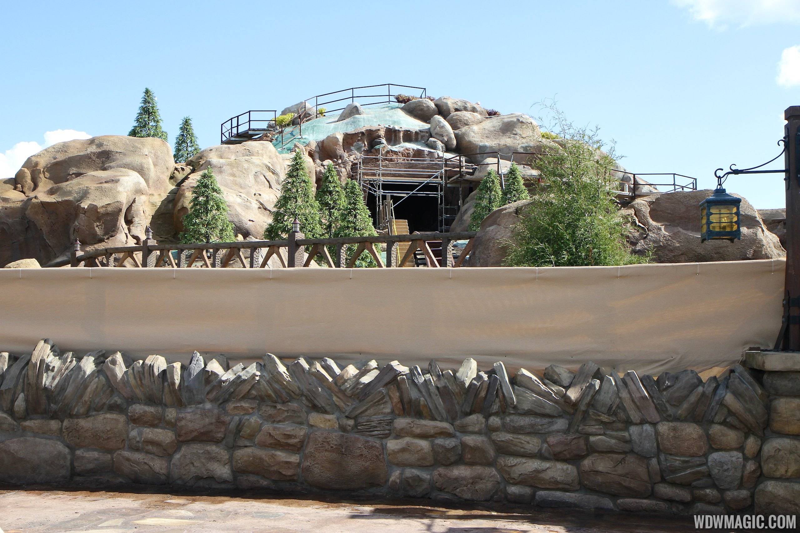 PHOTOS - Greenery and trees arrive at the Seven Dwarfs Mine Train