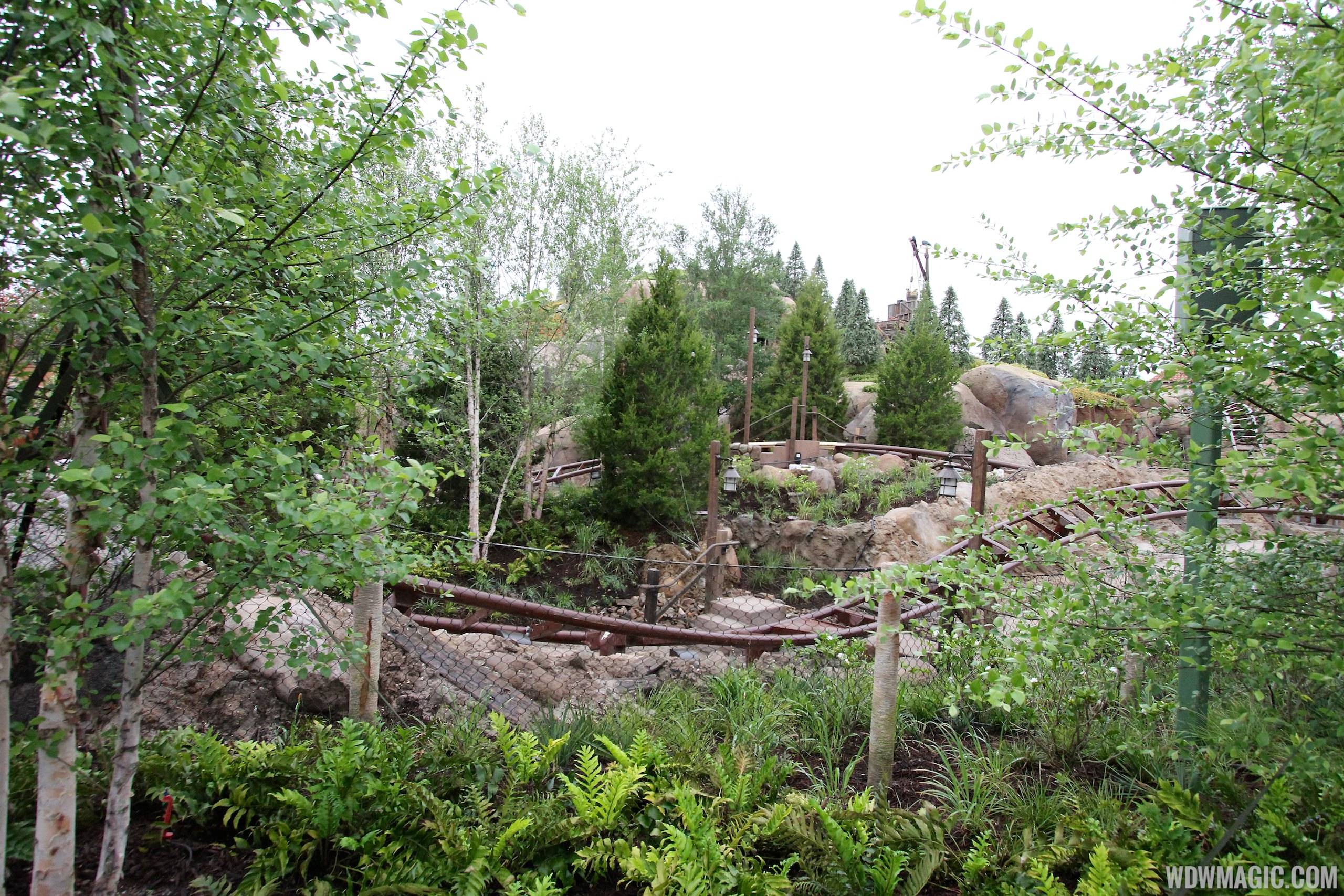 PHOTOS - More walls come down at the Seven Dwarfs Mine Train as opening edges closer