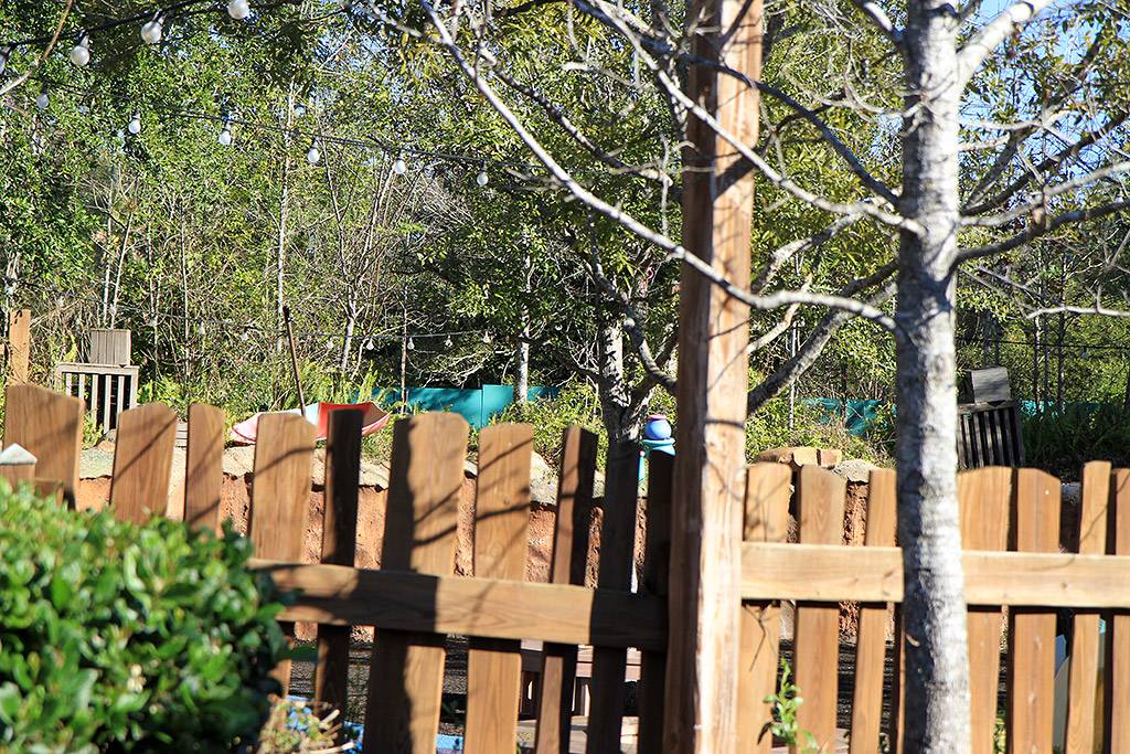 Construction walls go up in Fantasyland as first stages of massive expansion construction begins
