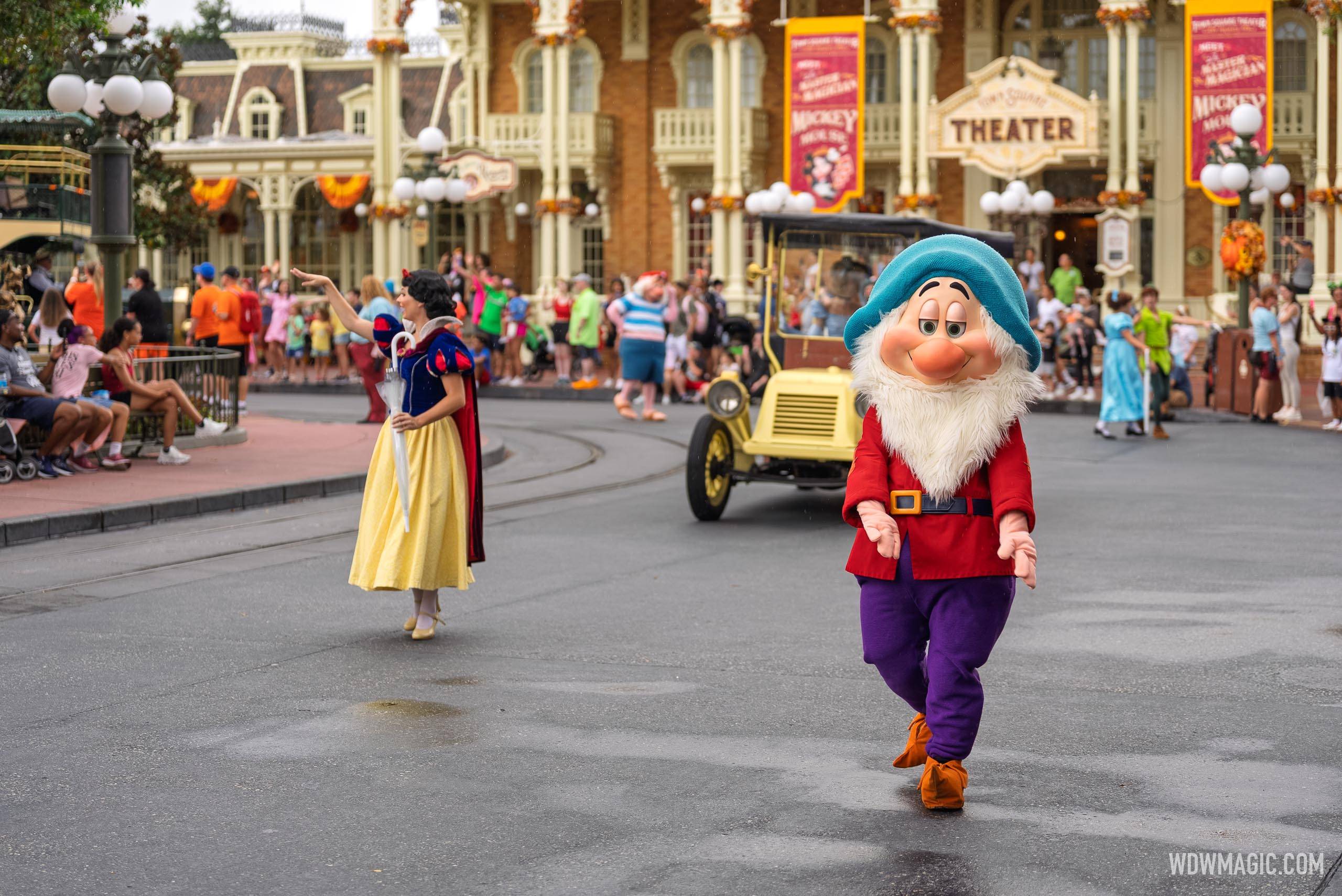 Magic Kingdom Rainy Day Cavalcade - photo 11 of 18