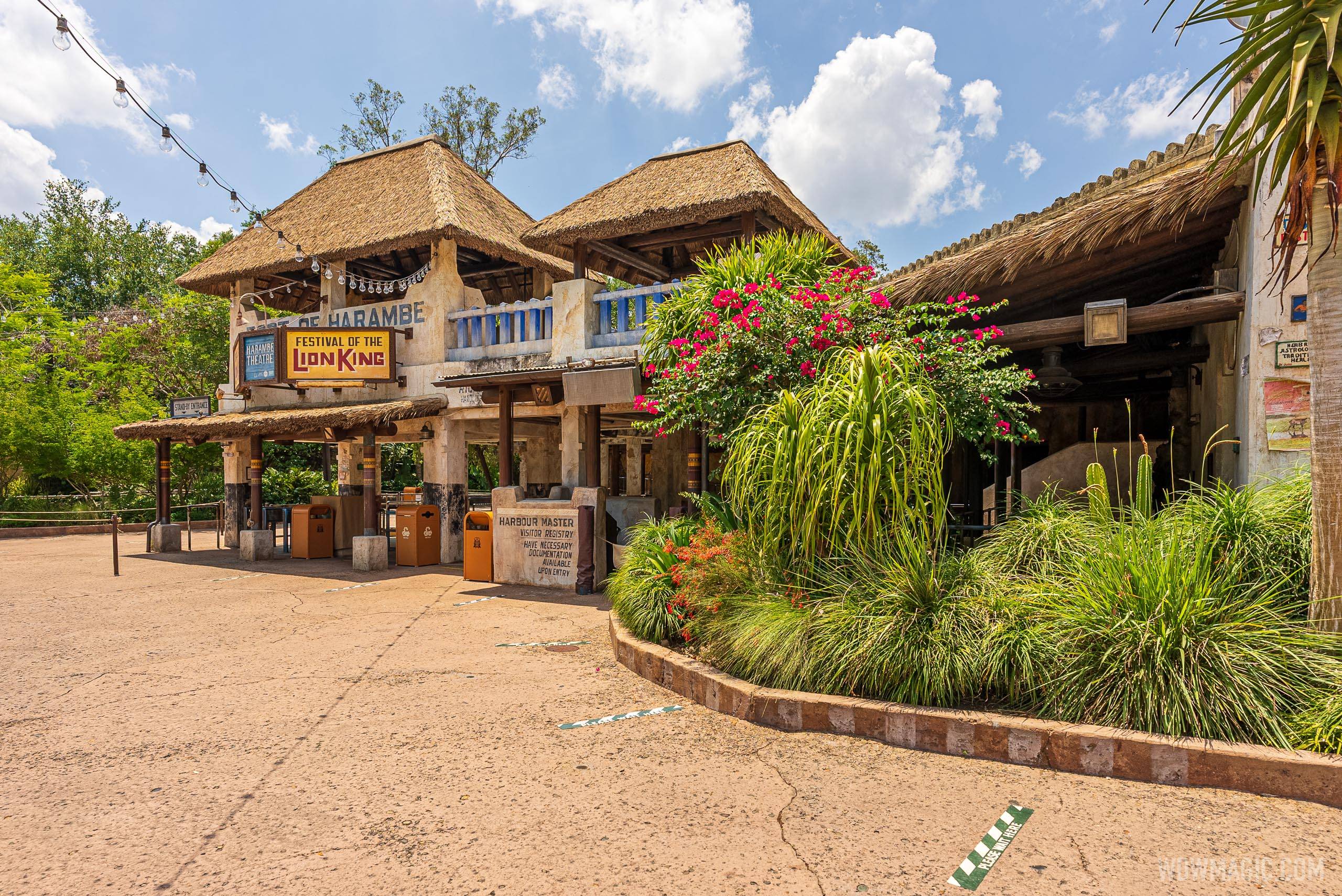 Tumble Monkeys are coming back to Festival of the Lion King at Disney's Animal Kingdom