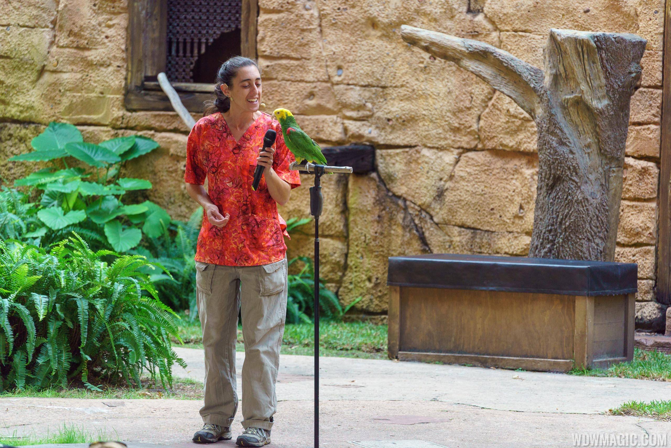 Flights of Wonder at Disney's Animal Kingdom to be added to FastPass+