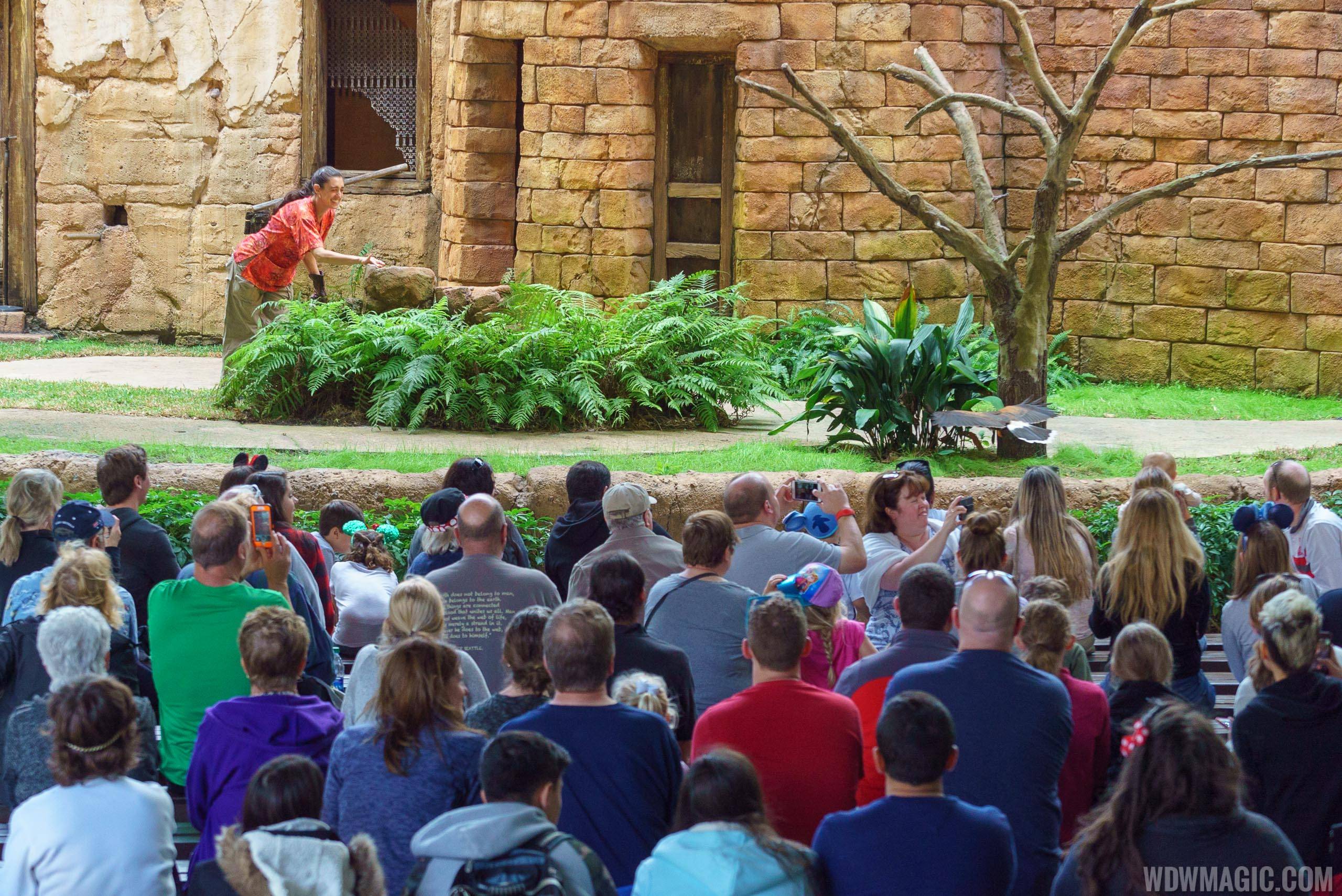 Flights of Wonder at Disney's Animal Kingdom to be added to FastPass+
