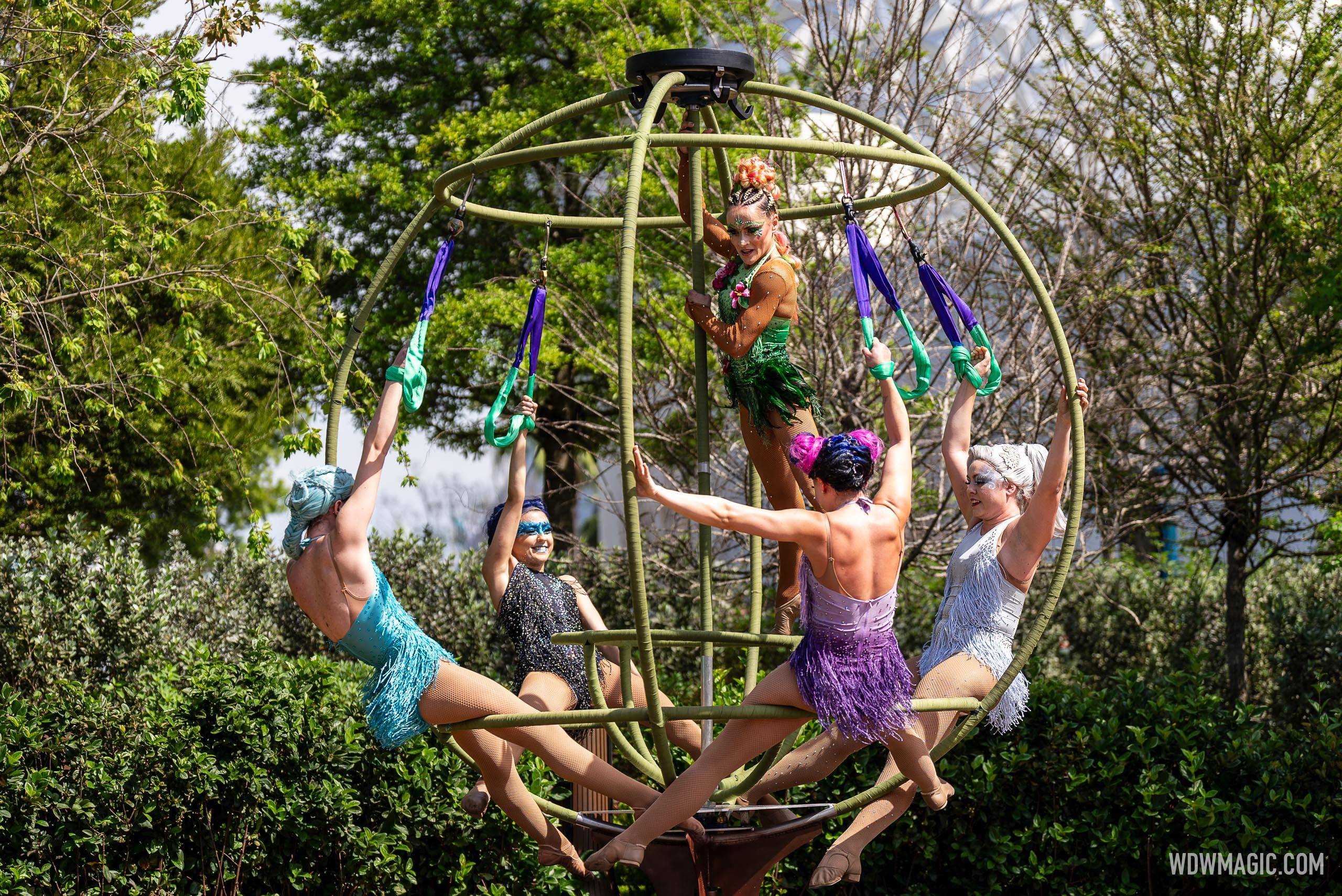 Forces of Nature by AntiGravity show