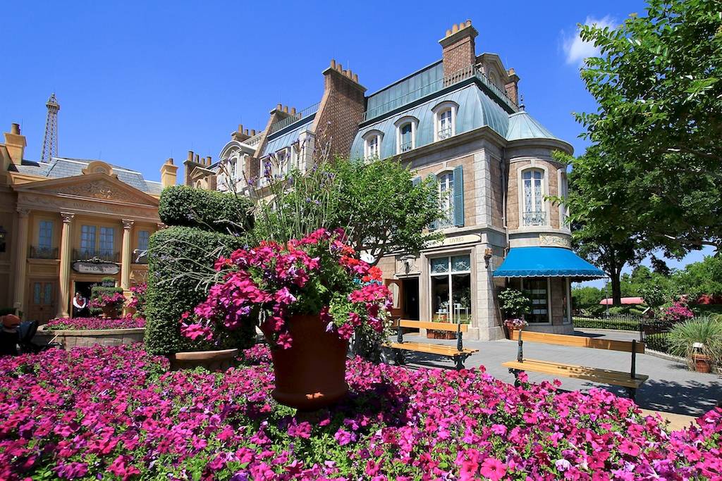 Flowers in full bloom in front of Impressions de France