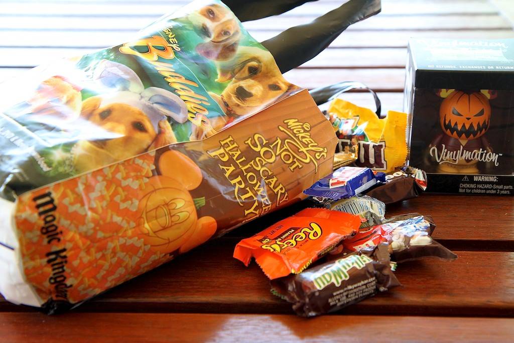 The BIG trick or treat bags and Vinylmation gift