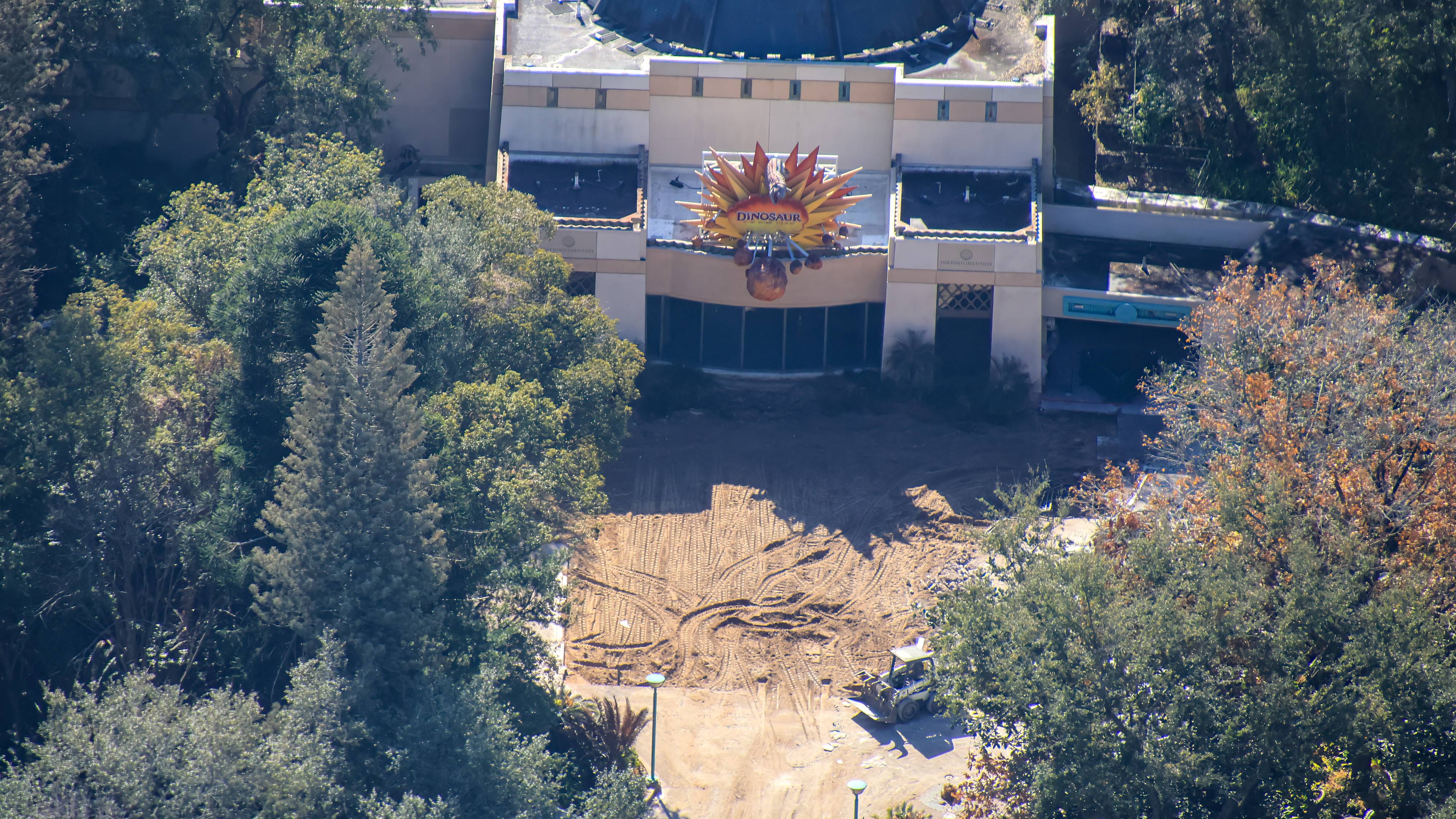 Indiana Jones Animal Kingdom Construction: Dino Sue Removed and Entrance Cleared in Latest Aerial Photos