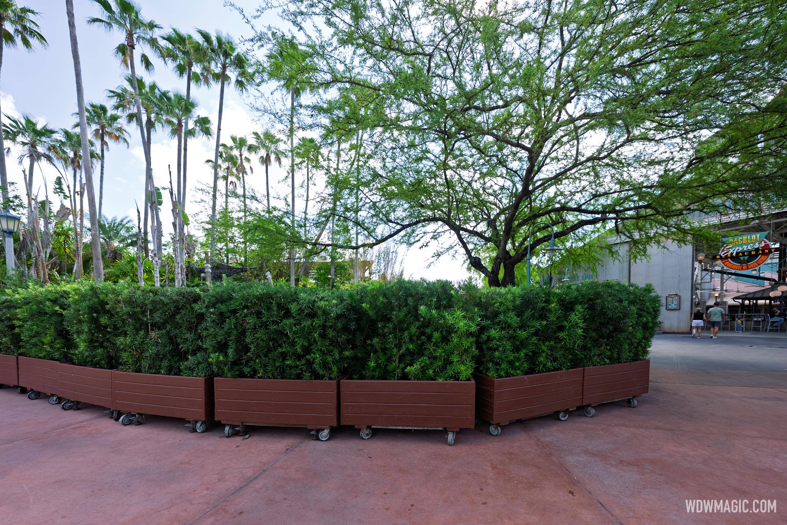 Rolling bushes block the area