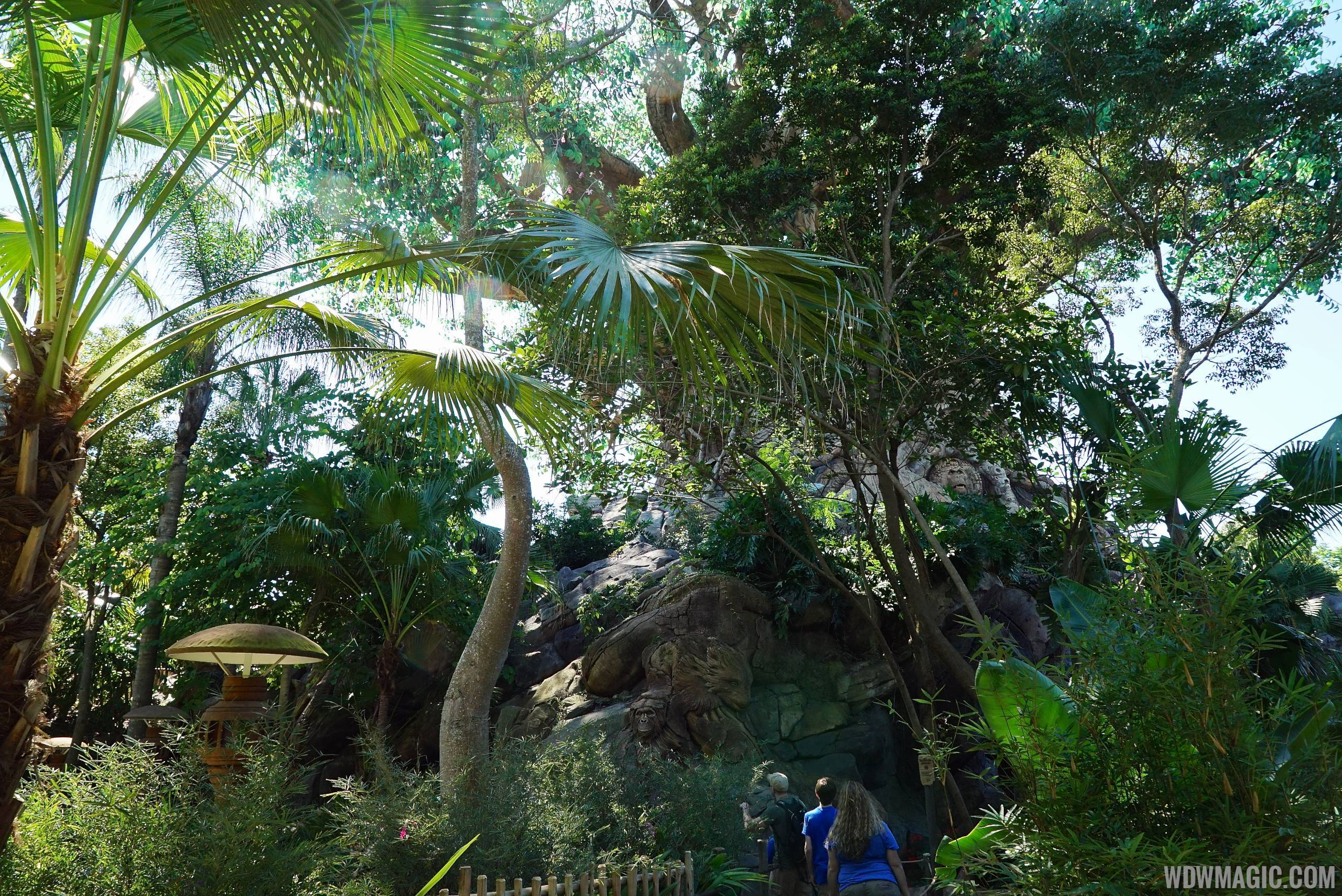 No more overhead nets at Tree of Life