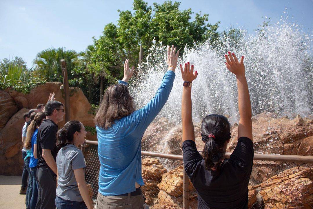 Journey of Water Inspired by Moana enters testing phase at Walt Disney World