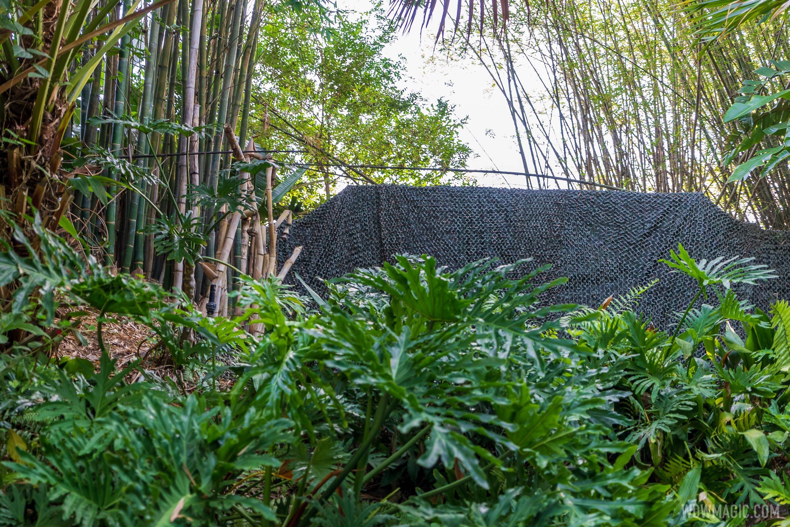 Latest look at the Jungle Cruise changes being made at Walt Disney World