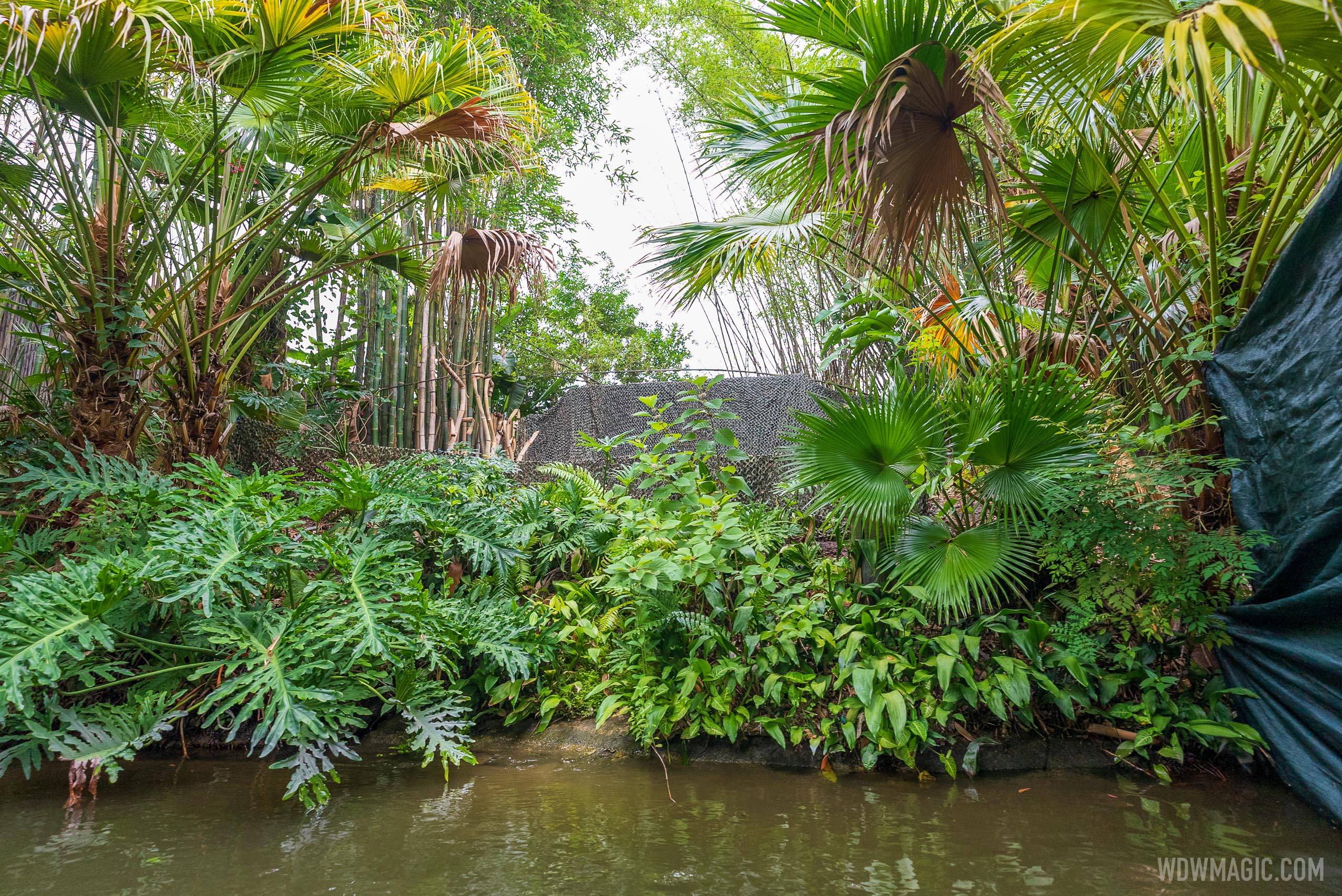 Work on the native scene at the Jungle Cruise - June 7 2021