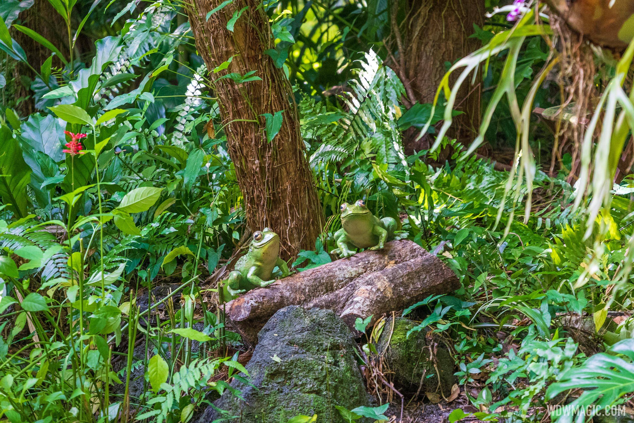 Jungle Cruise frogs