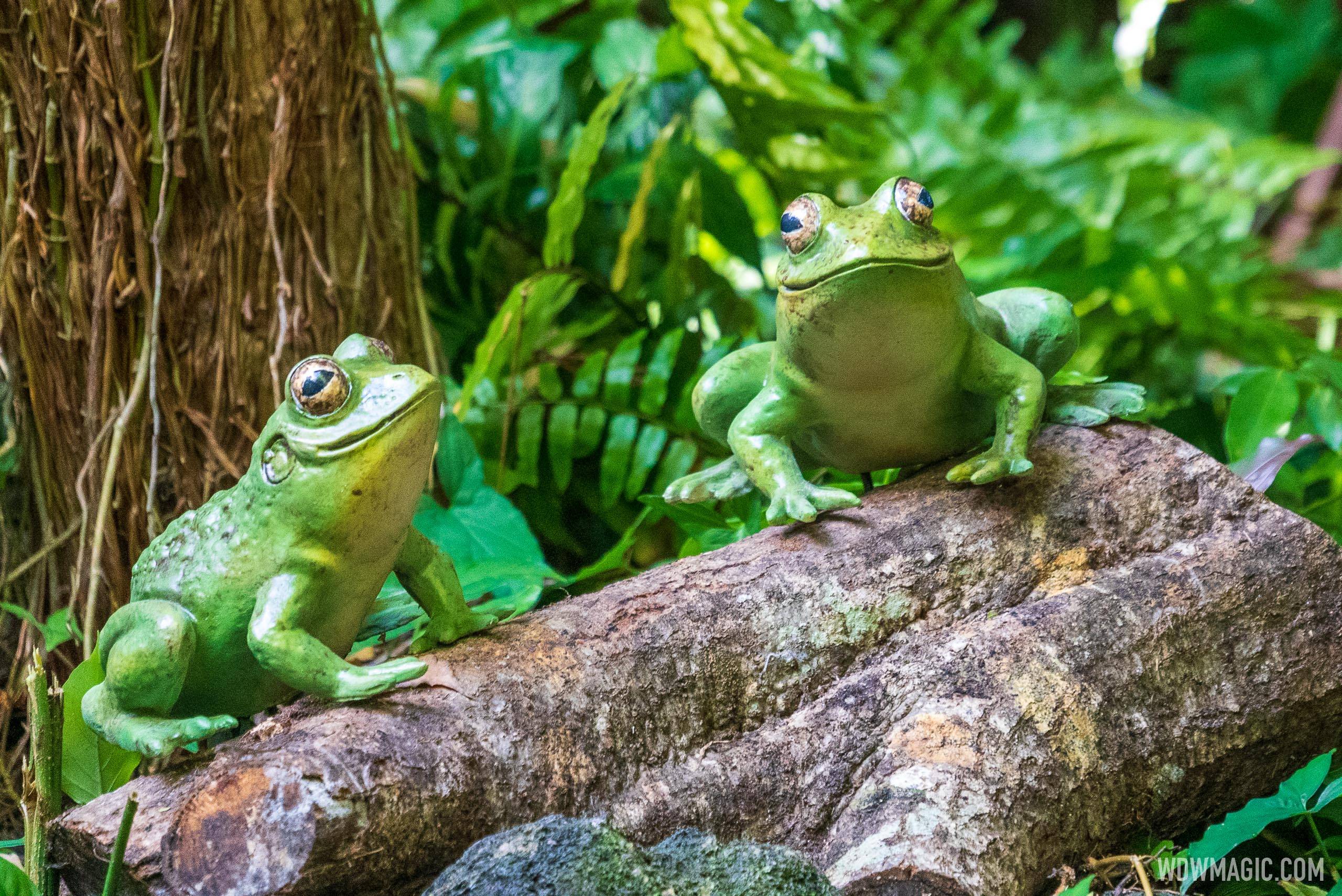 Frogs return to the Magic Kingdom's World Famous Jungle Cruise after a 49-year hiatus