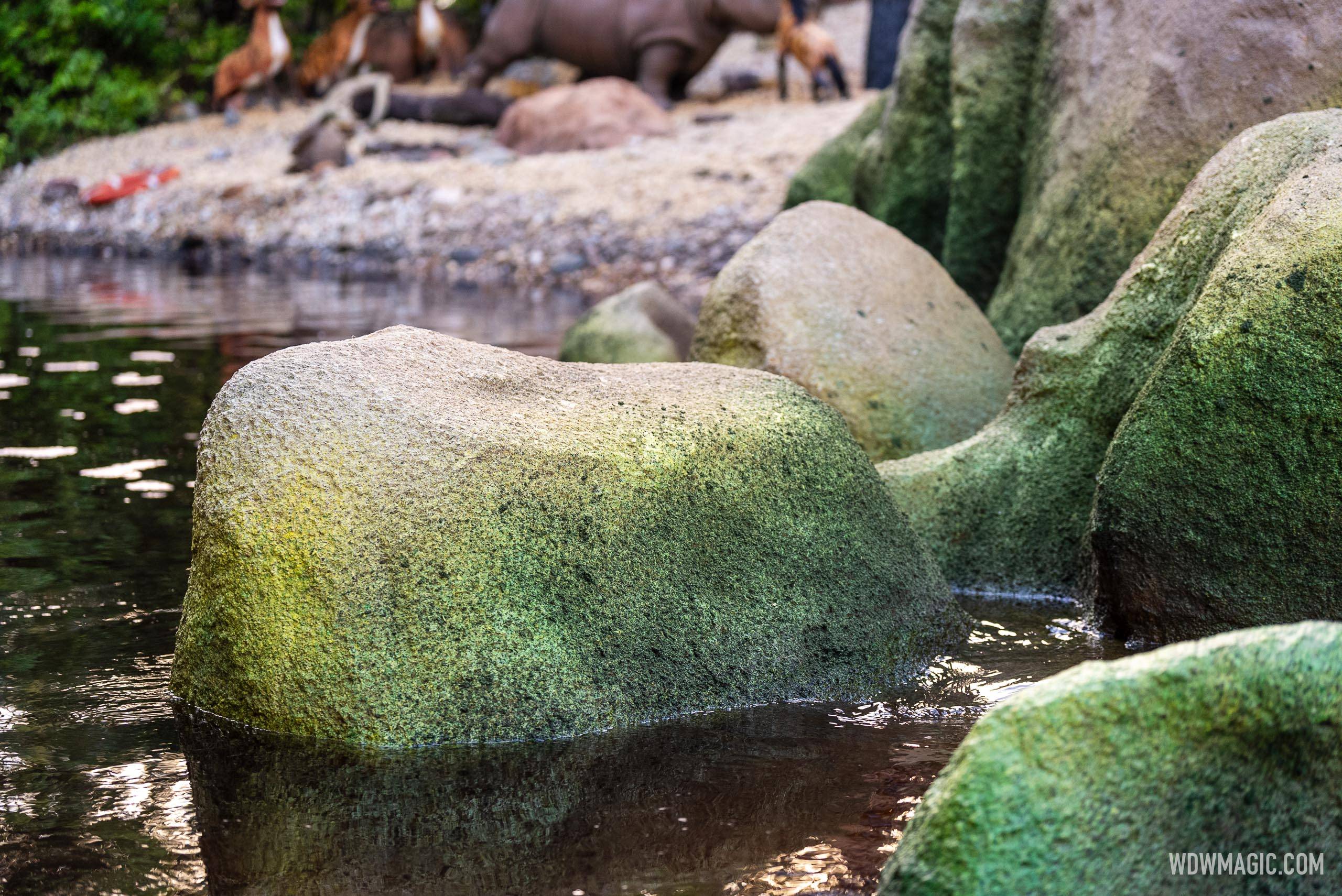 Jungle Cruise Post Refurbishment October 2024