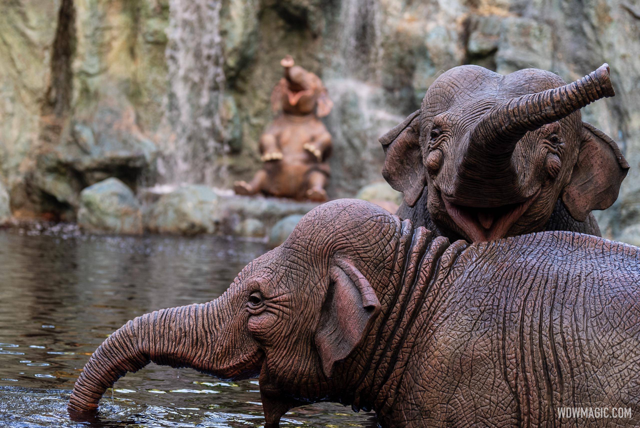 Jungle Cruise Post Refurbishment October 2024