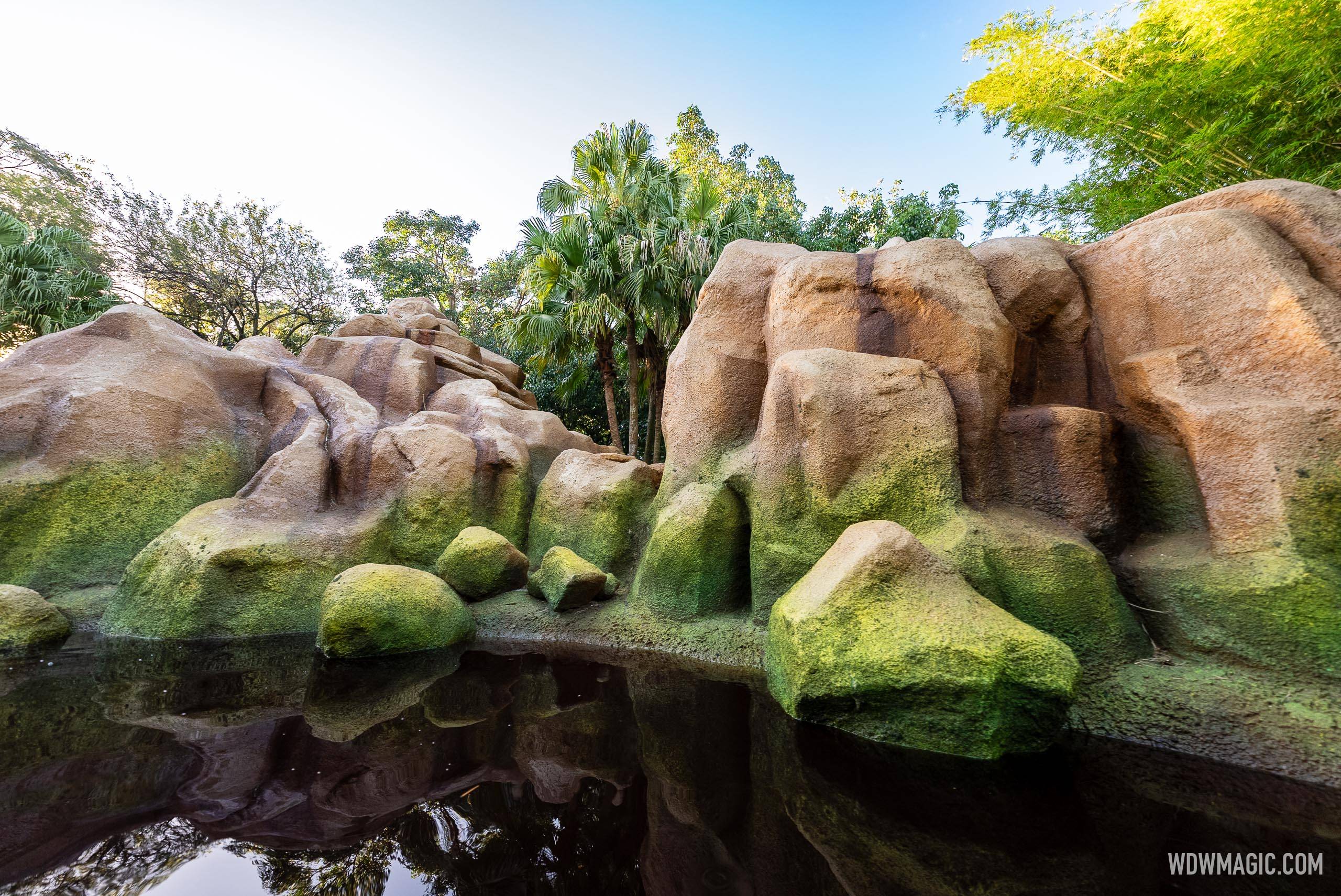 Jungle Cruise Post Refurbishment October 2024