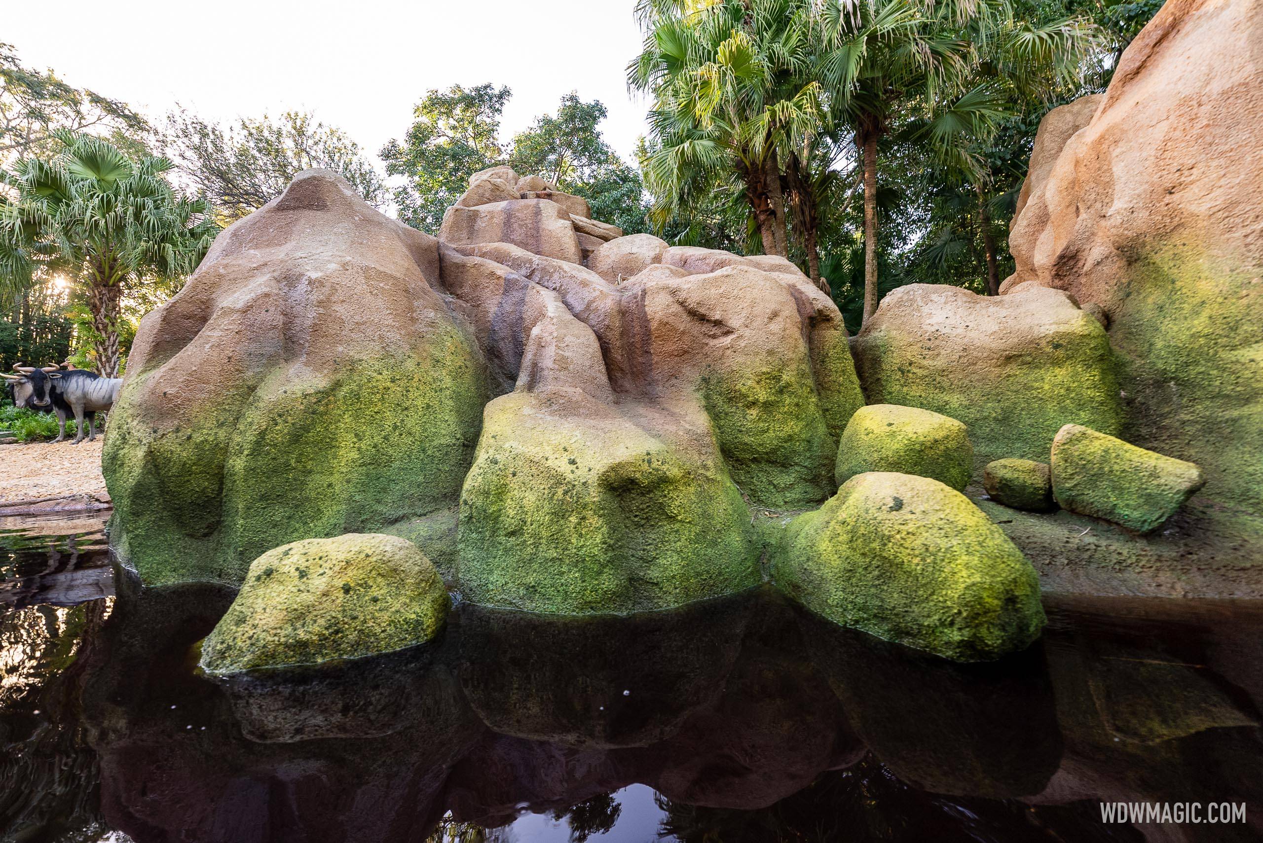 Jungle Cruise Post Refurbishment October 2024