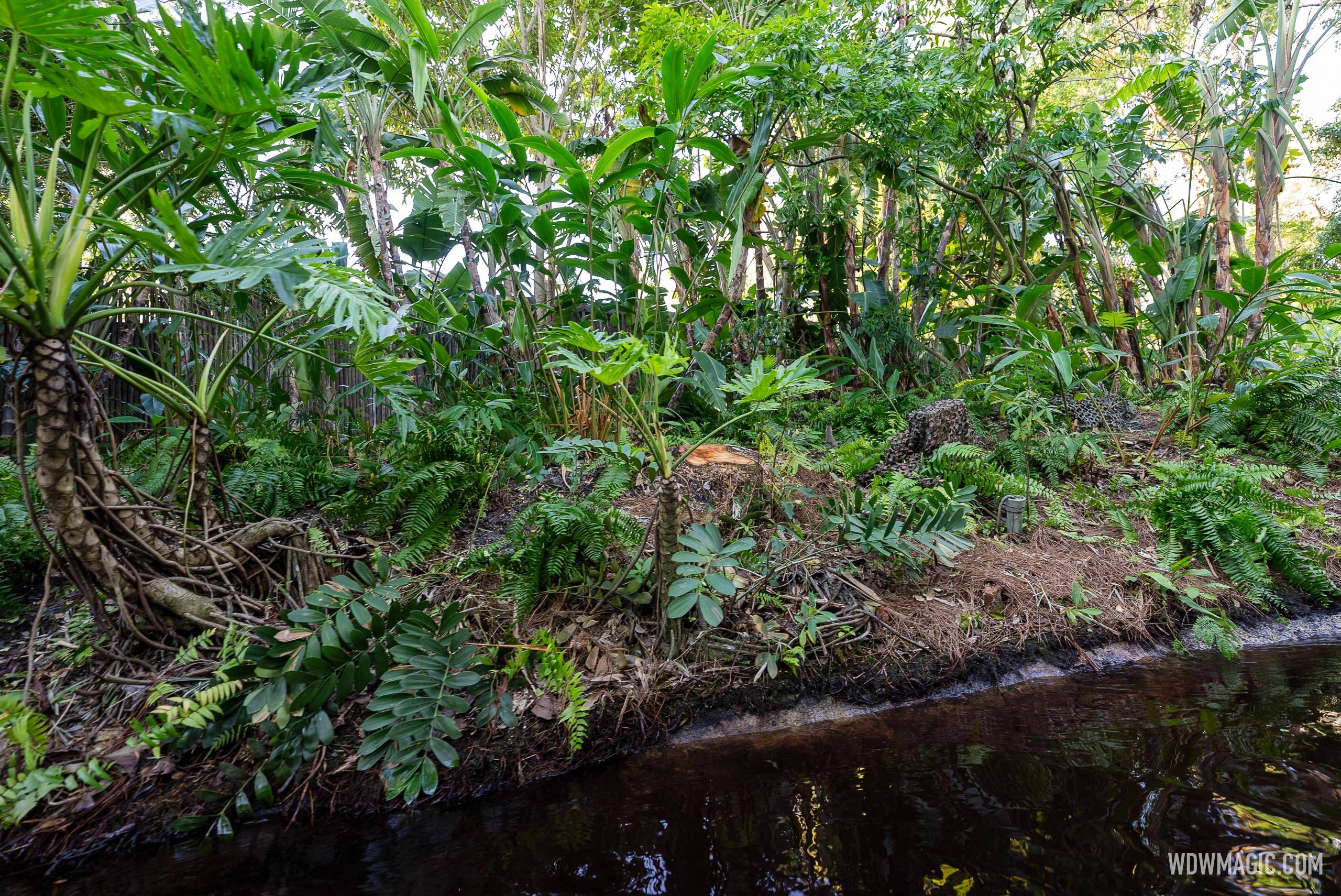 Jungle Cruise Post Refurbishment October 2024