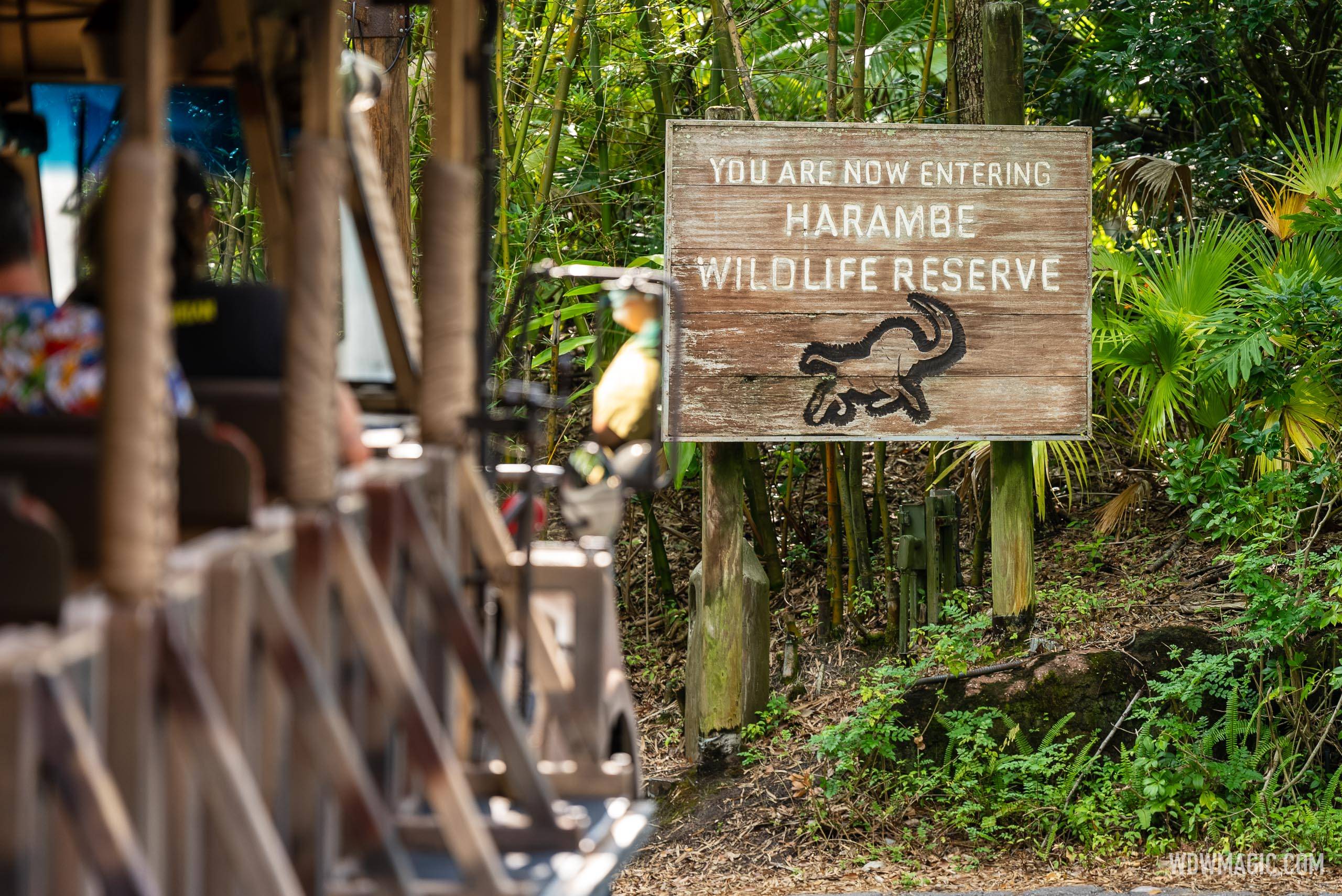 Kilimanjaro Safaris