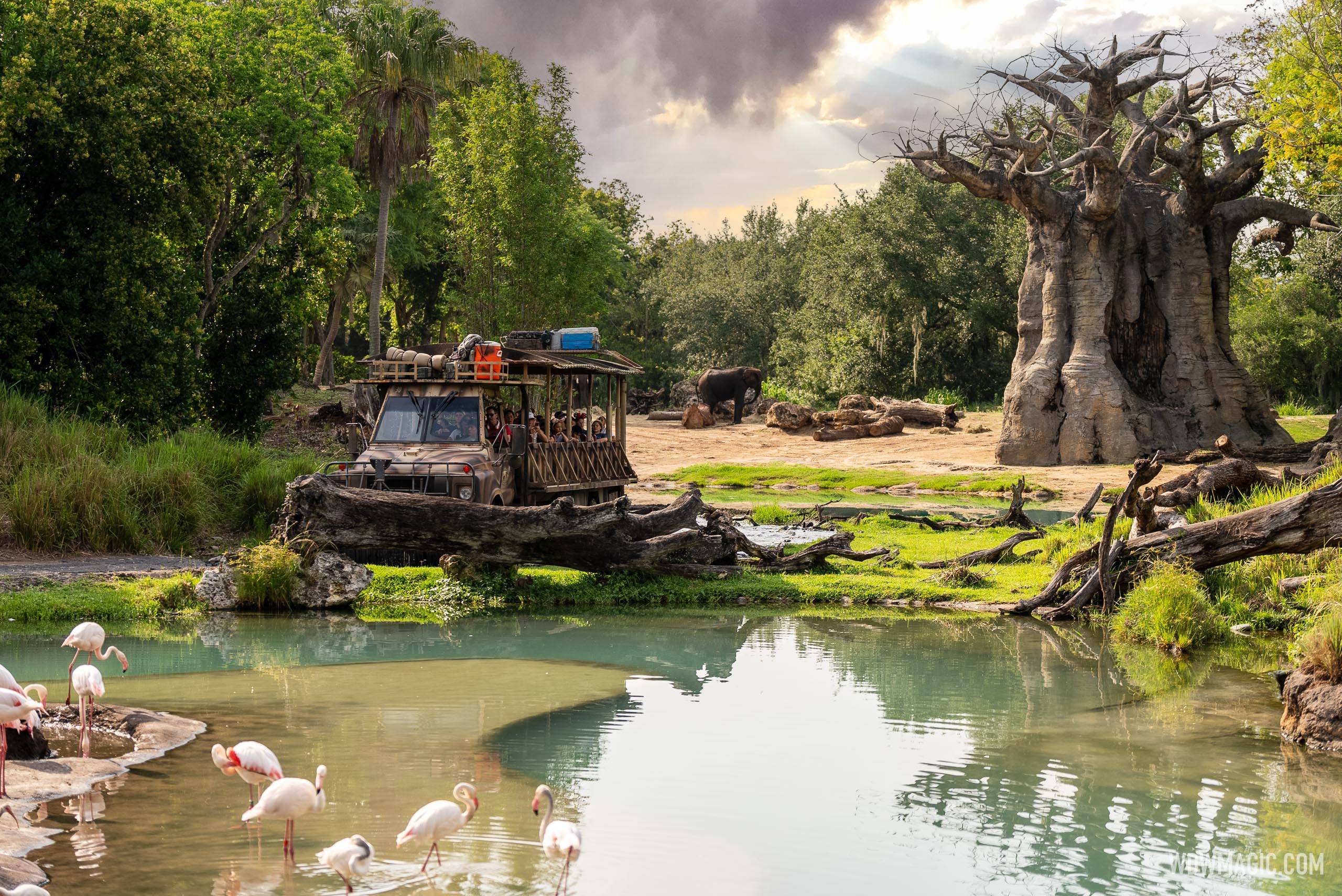 Kilimanjaro Safaris Truck