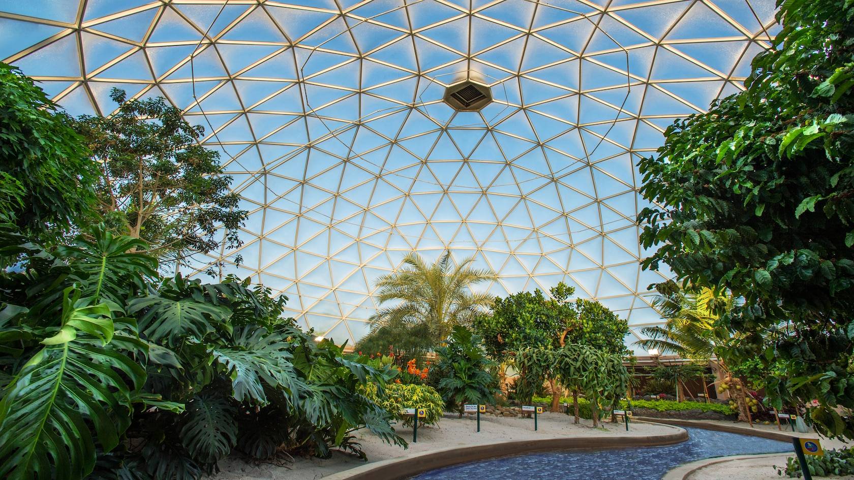 Living With The Land Ambient Video Released by Disney as Part of Official Sights and Sounds Series