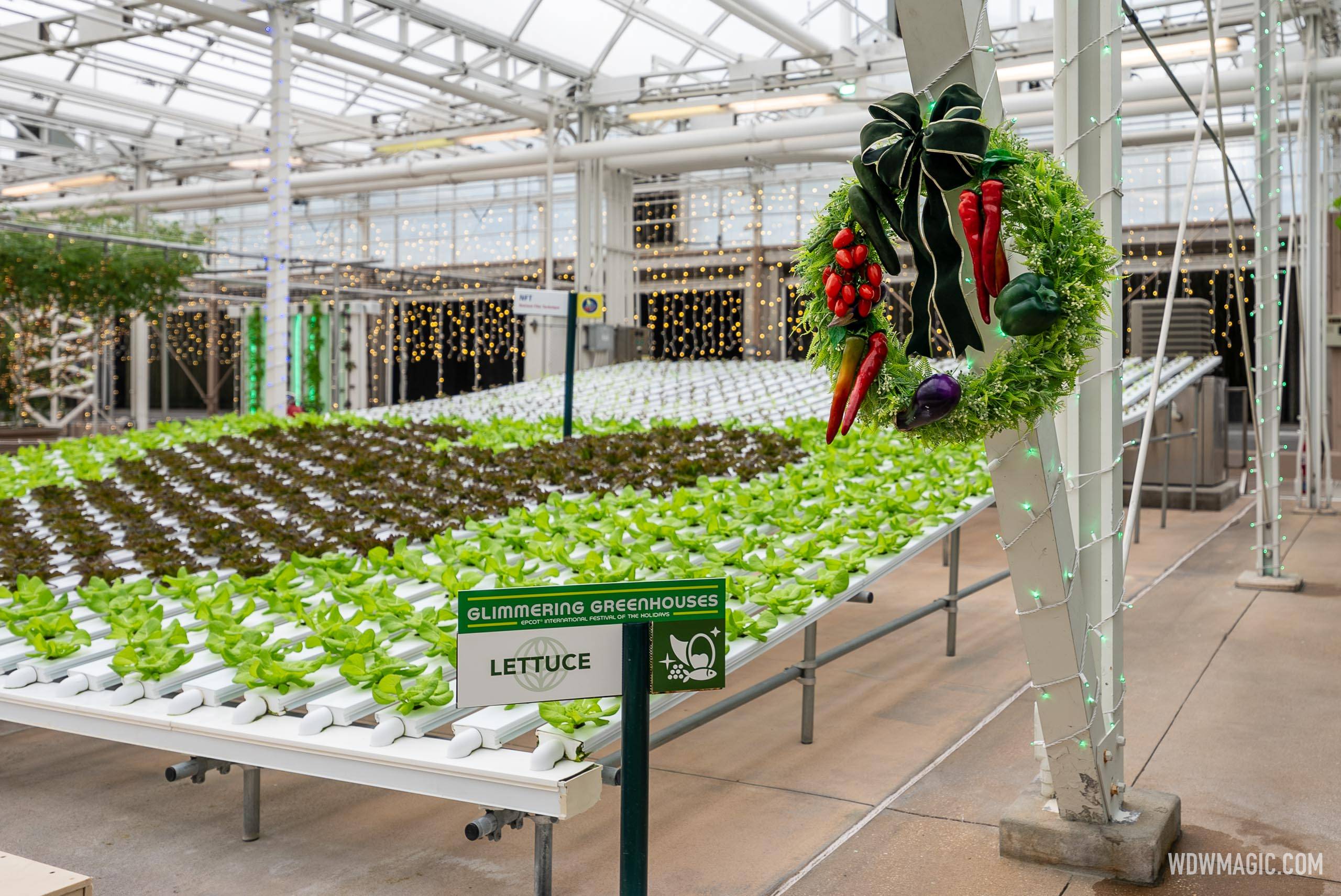 Living with the Land Glimmering Greenhouses holiday overlay - daytime