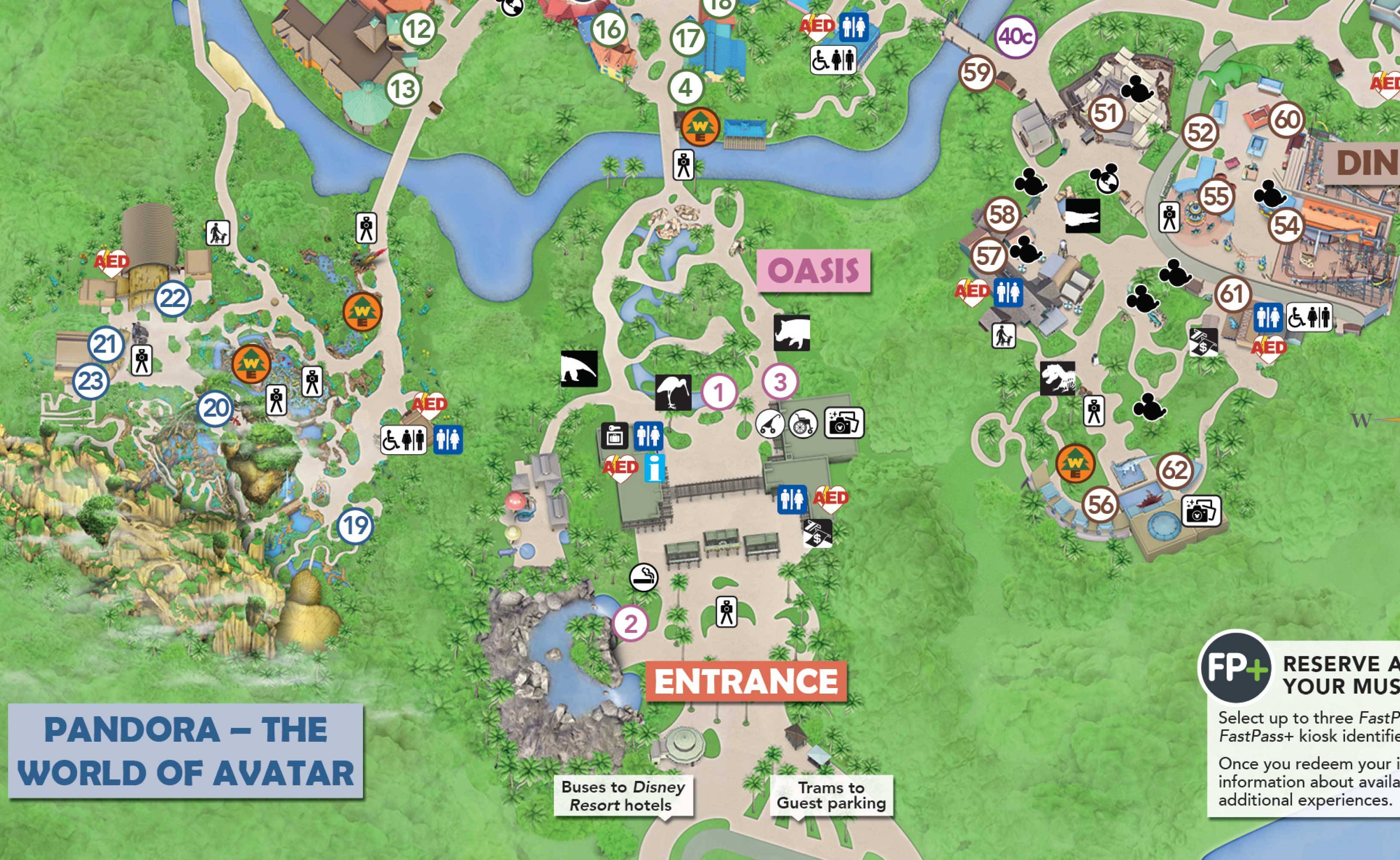 Disney's Animal Kingdom smoking location May 1