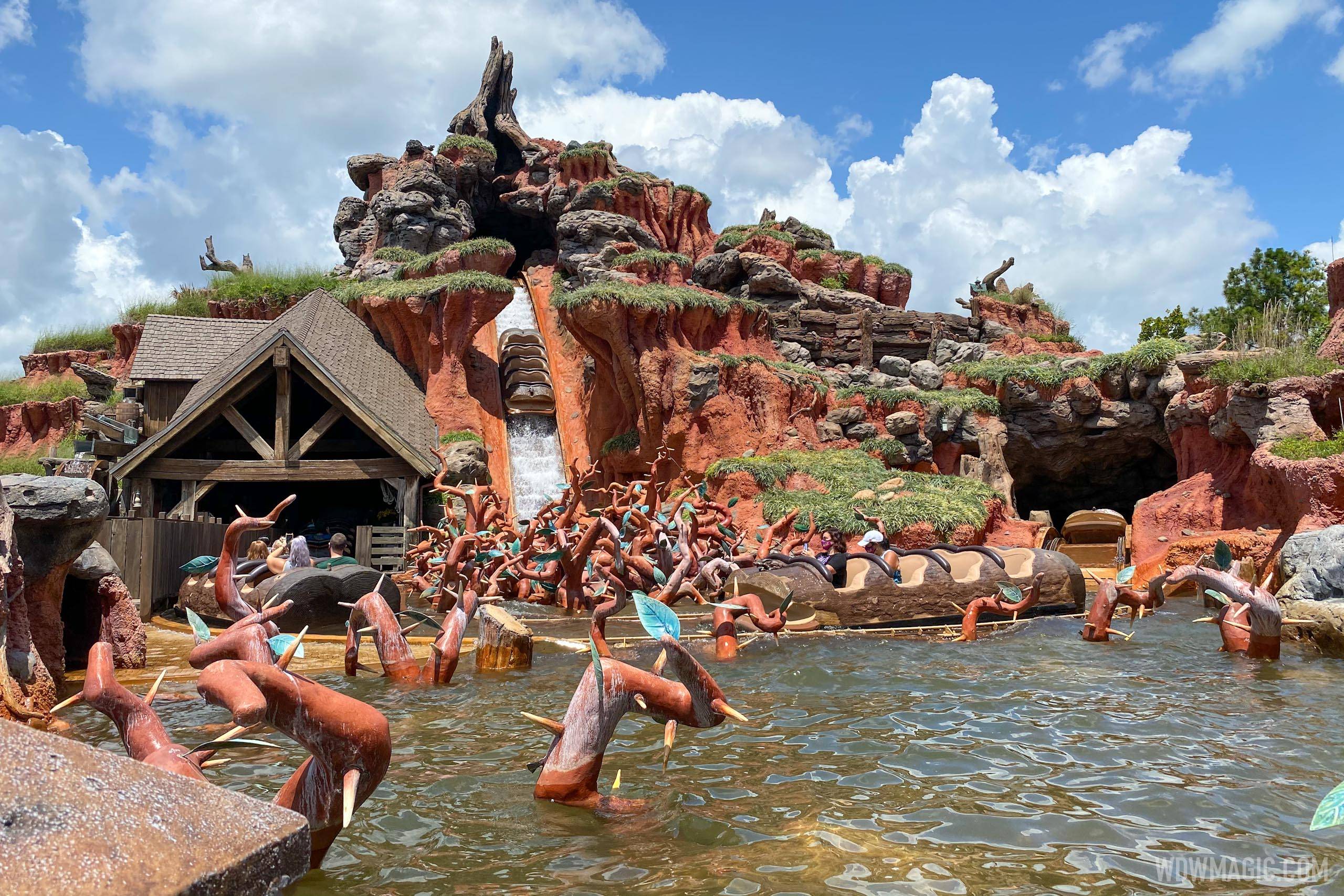 Splash Mountain with physical distancing