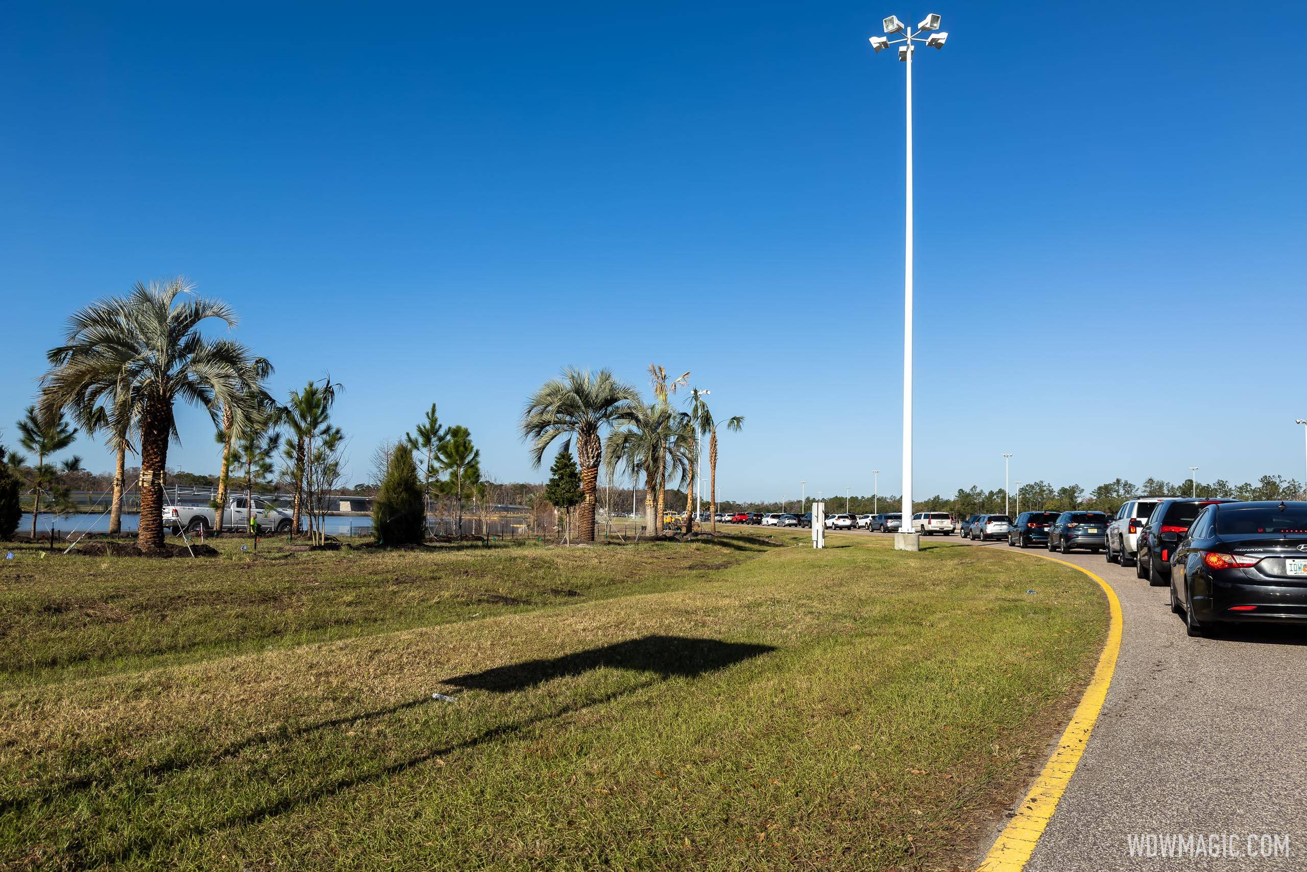 New landscaping comes to Walt Disney World's Transportation and Ticket Center