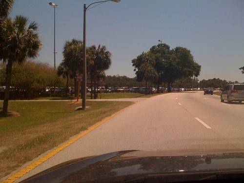 Cars parking on the grass at the TTC heading to the Magic Kingdom.