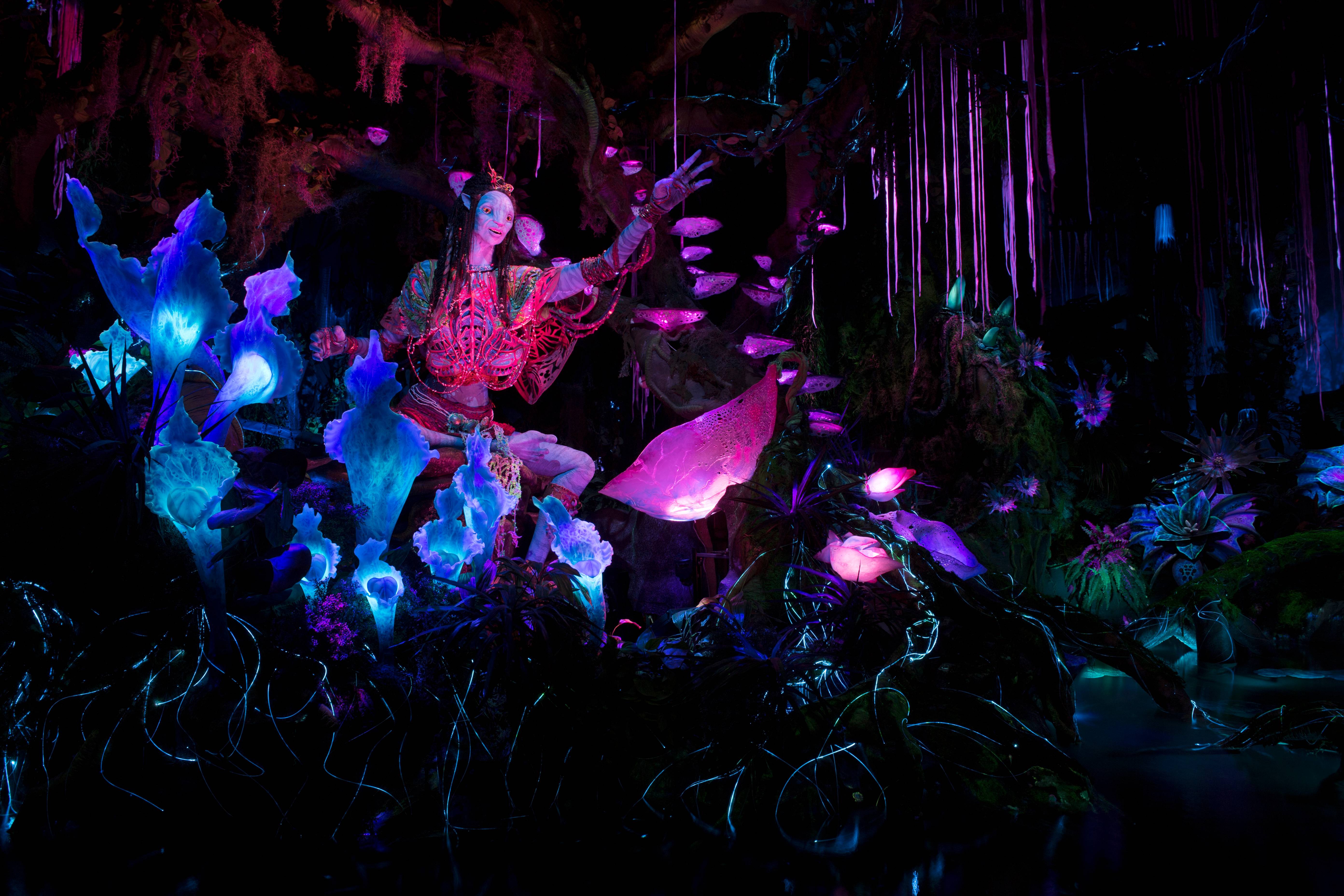 Na'vi River Journey