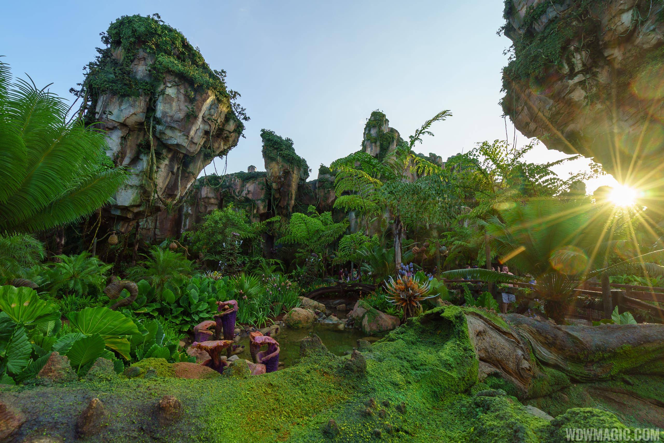 Disney 2020 Scrapbook Album  Documenting Pandora & Na'vi River Journey