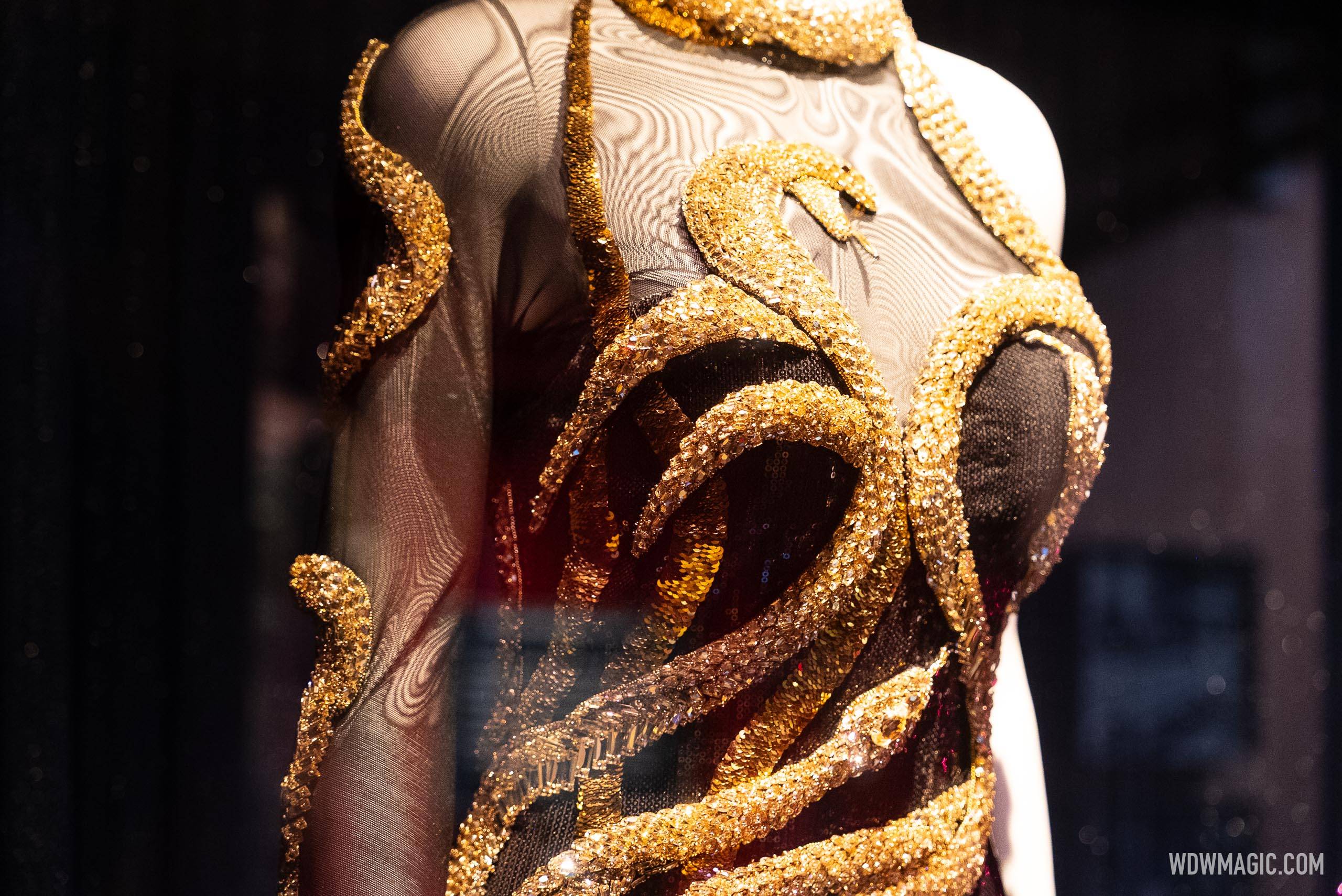 Taylor Swift Eras Tour Costume Exhibit at Walt Disney Presents