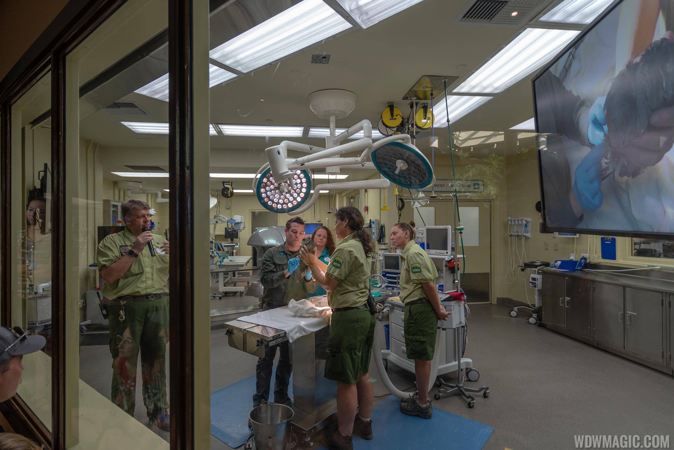 Rafiki's Planet Watch