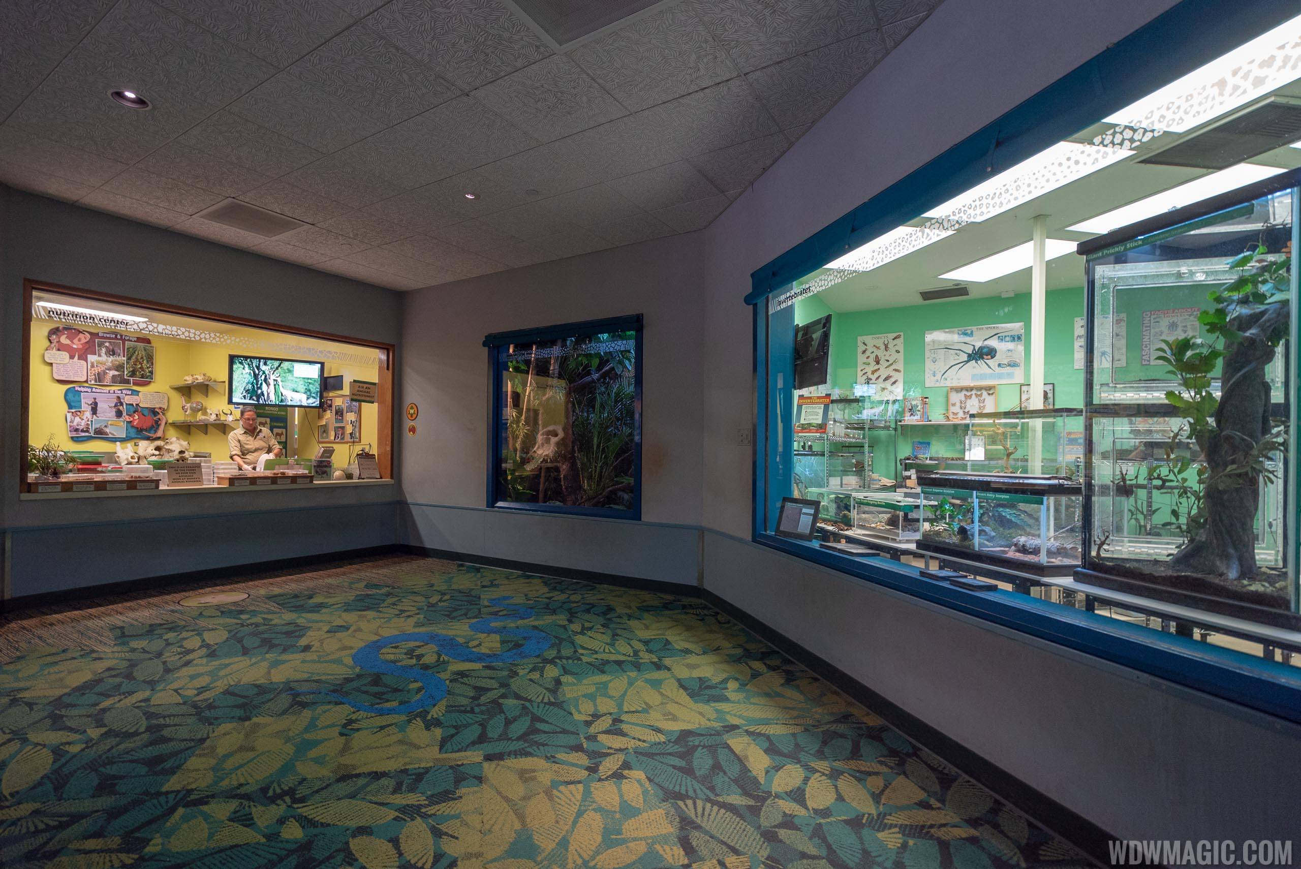 Rafiki's Planet Watch