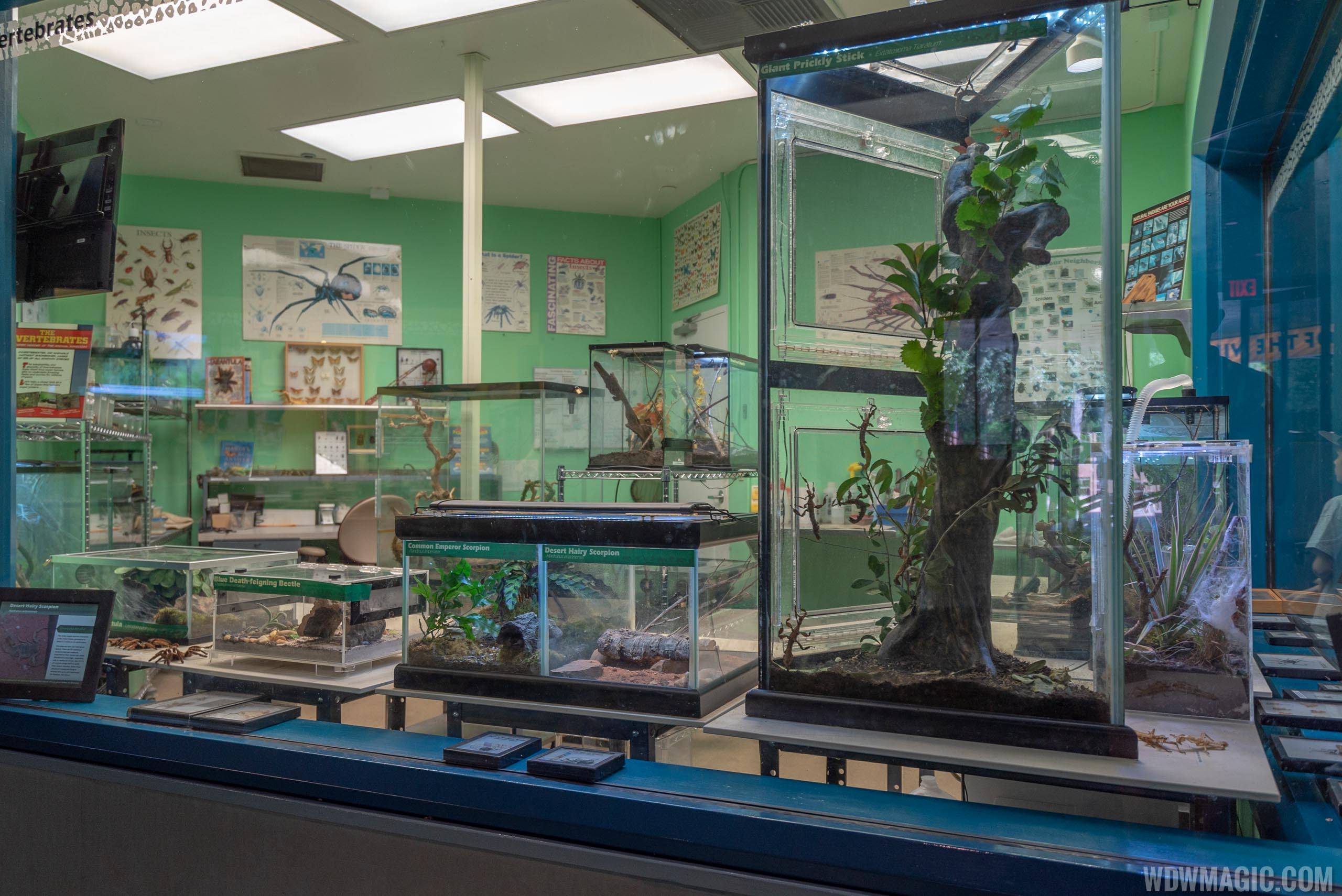 Rafiki's Planet Watch