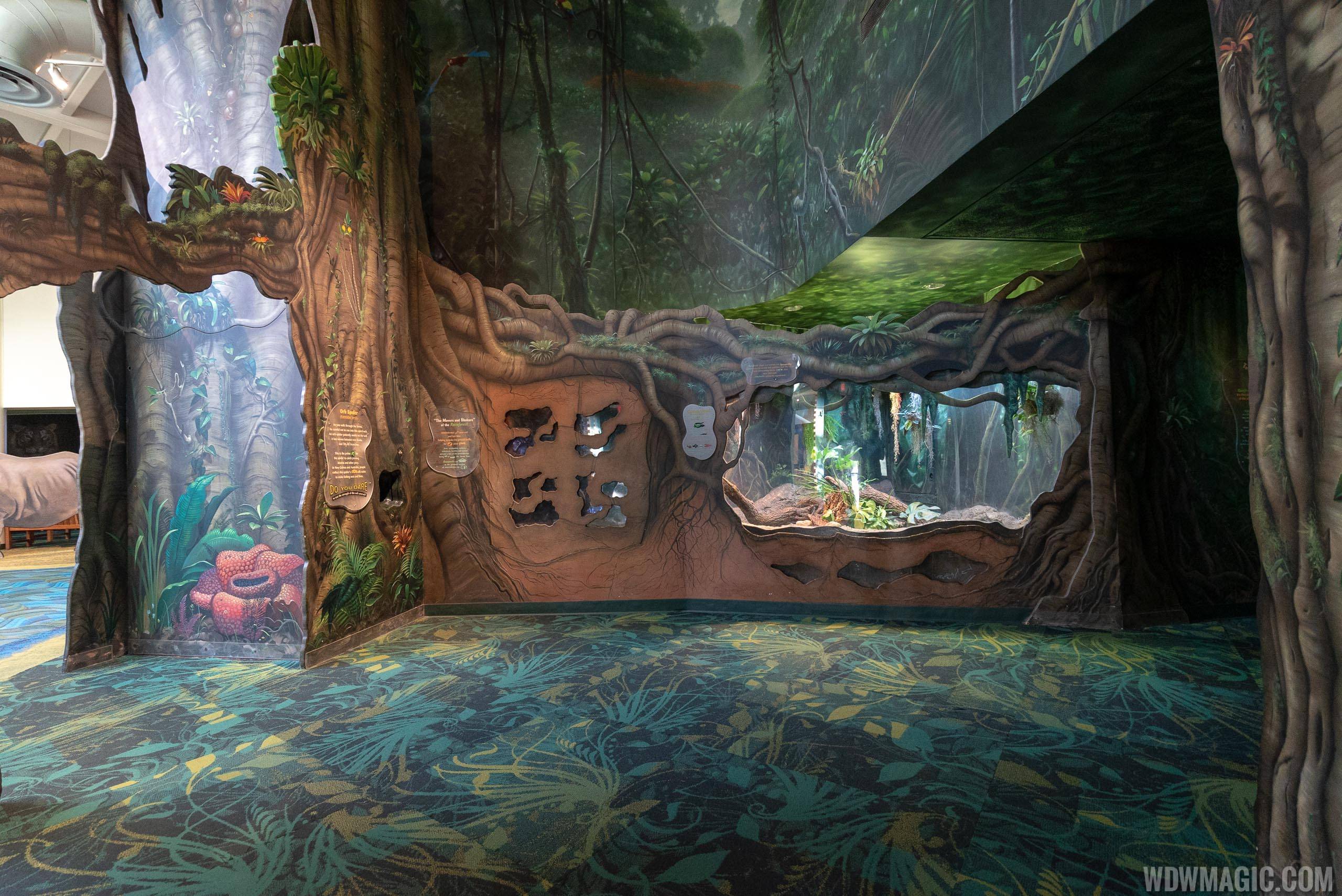 Rafiki's Planet Watch