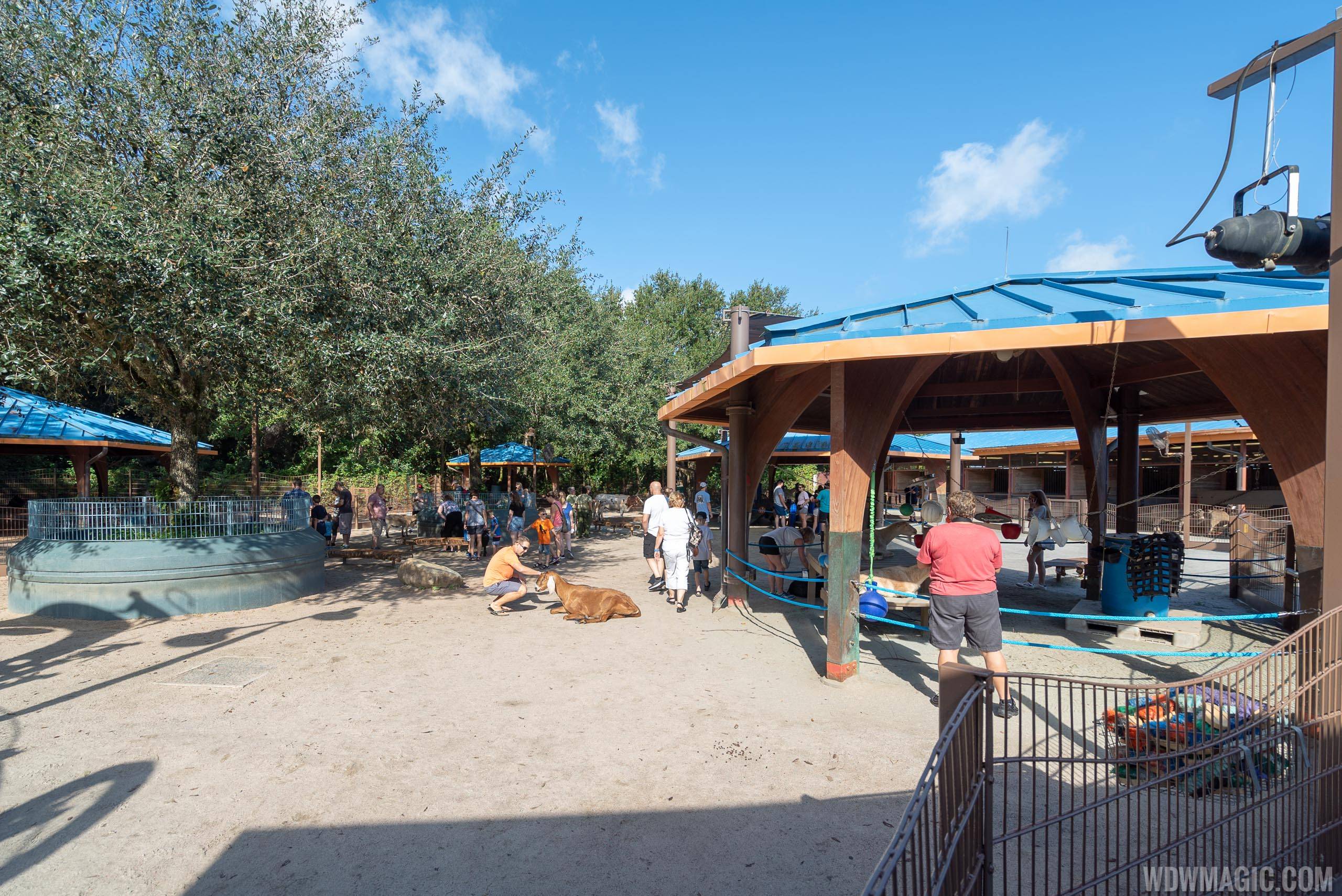 Rafiki's Planet Watch