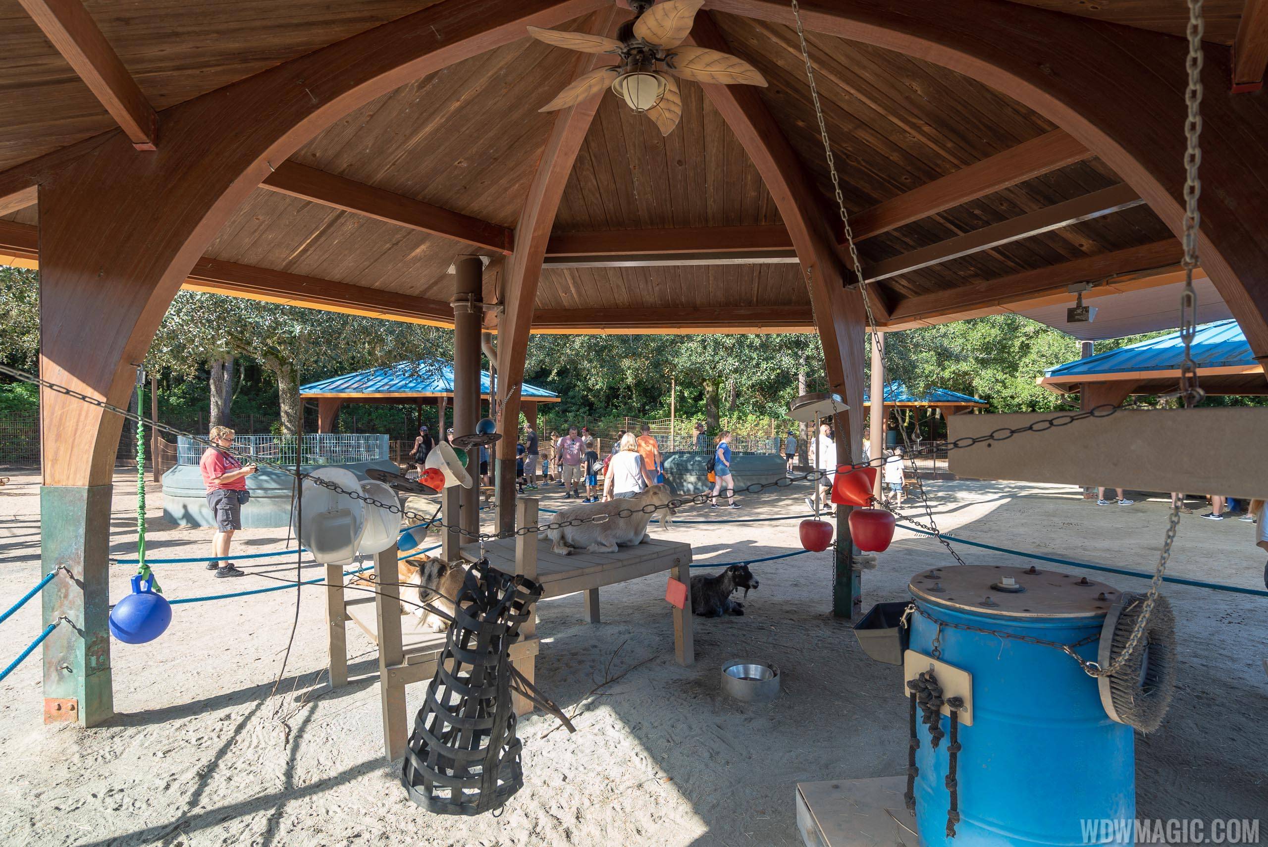 Rafiki's Planet Watch