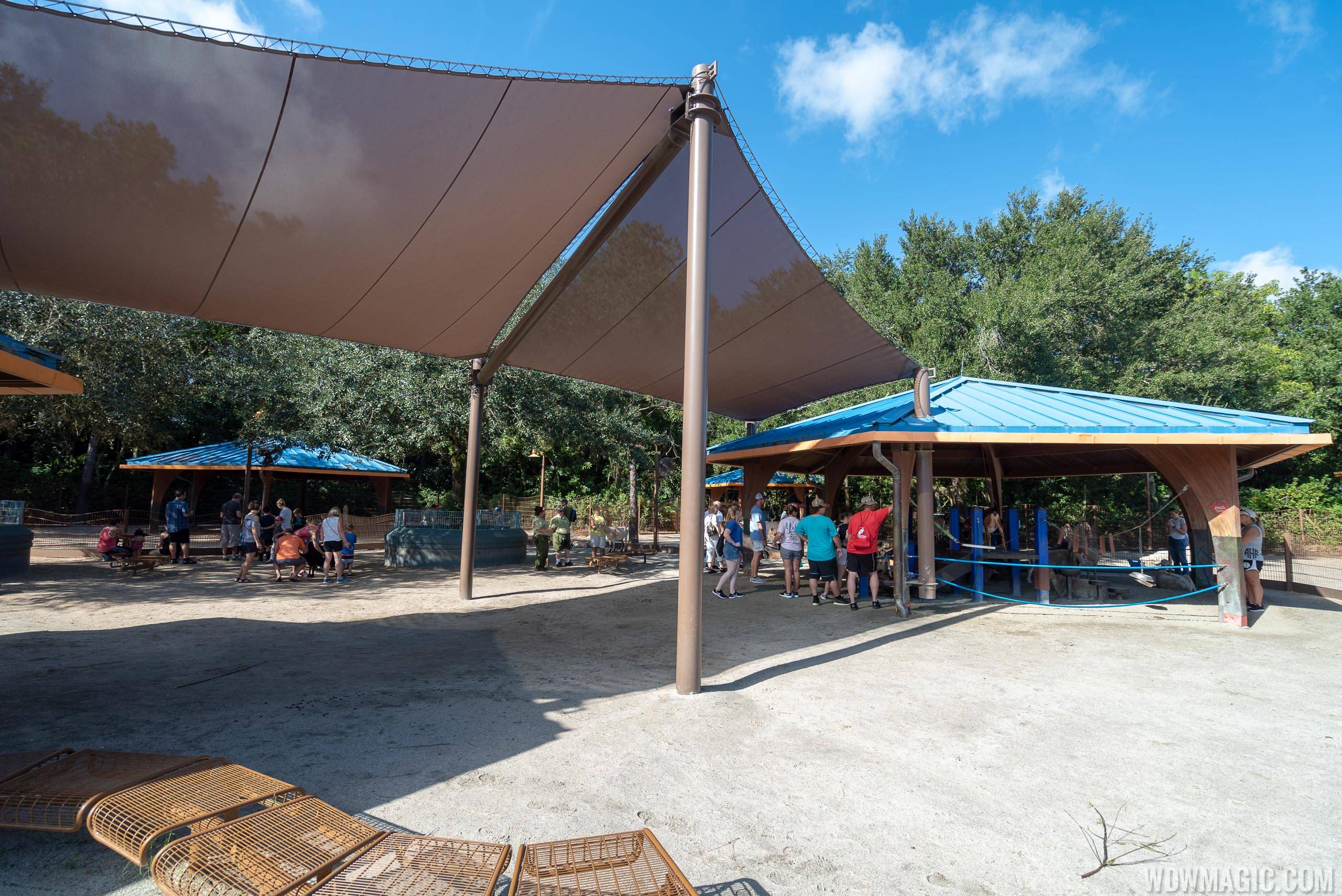 Rafiki's Planet Watch