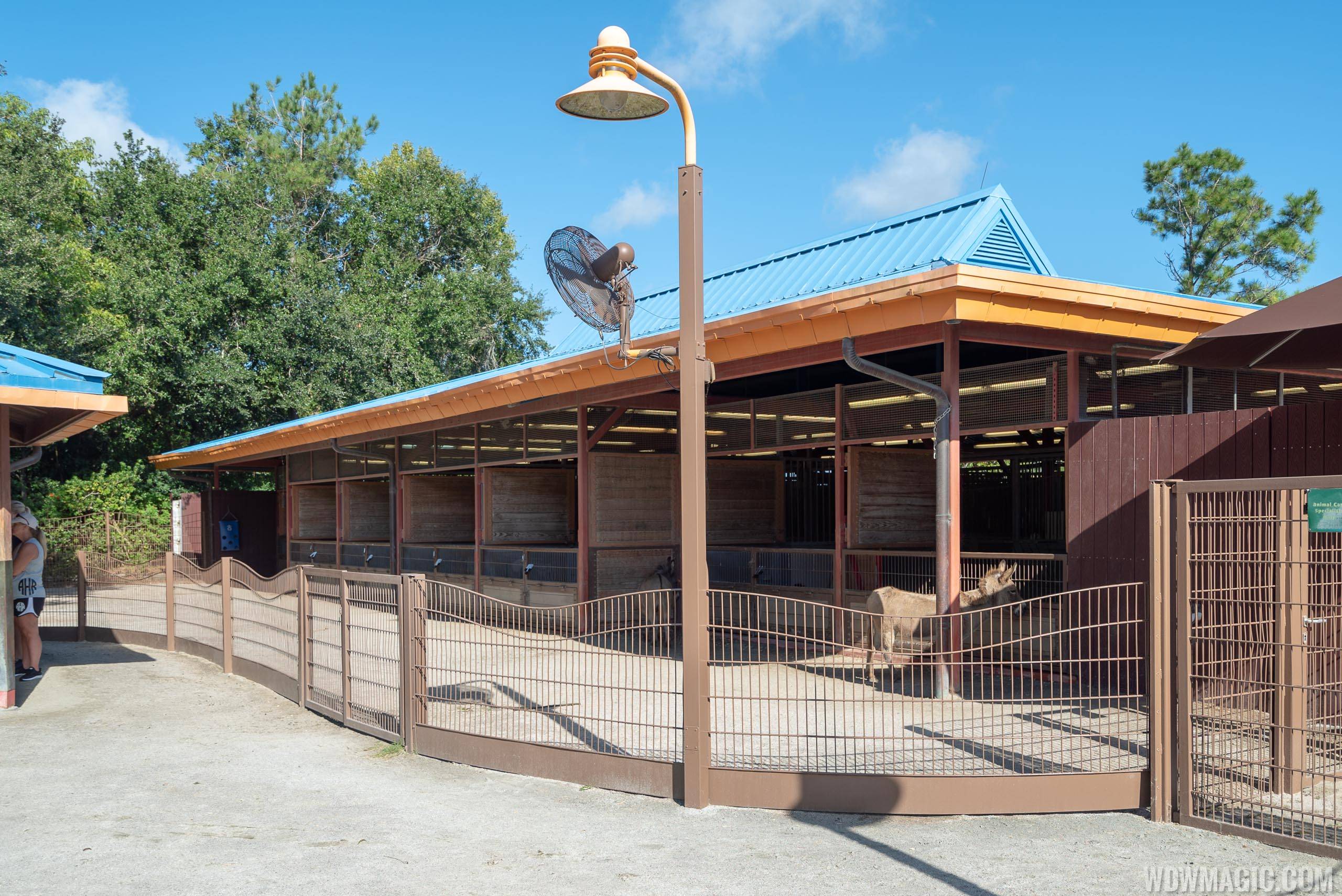 Rafiki's Planet Watch