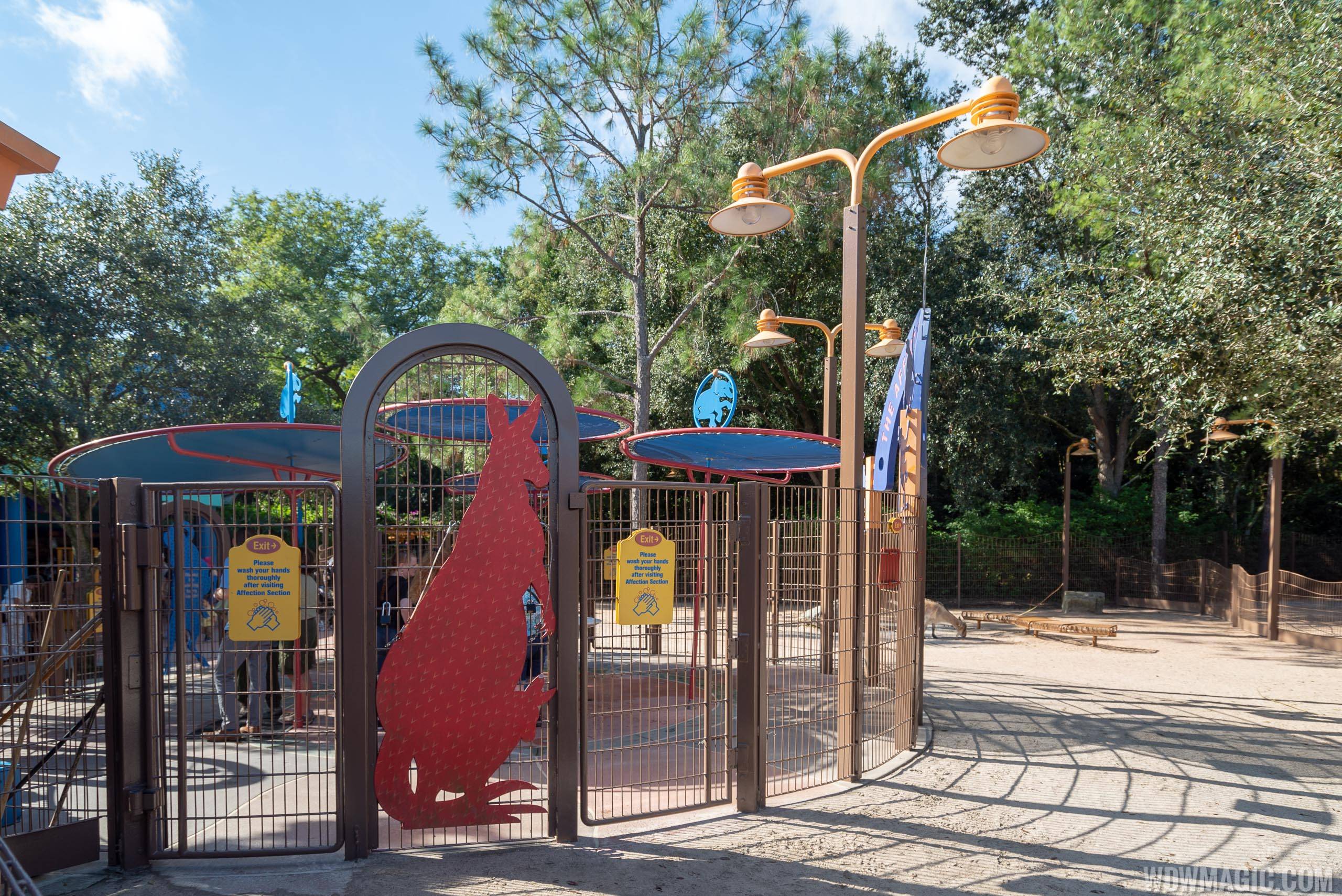 Rafiki's Planet Watch