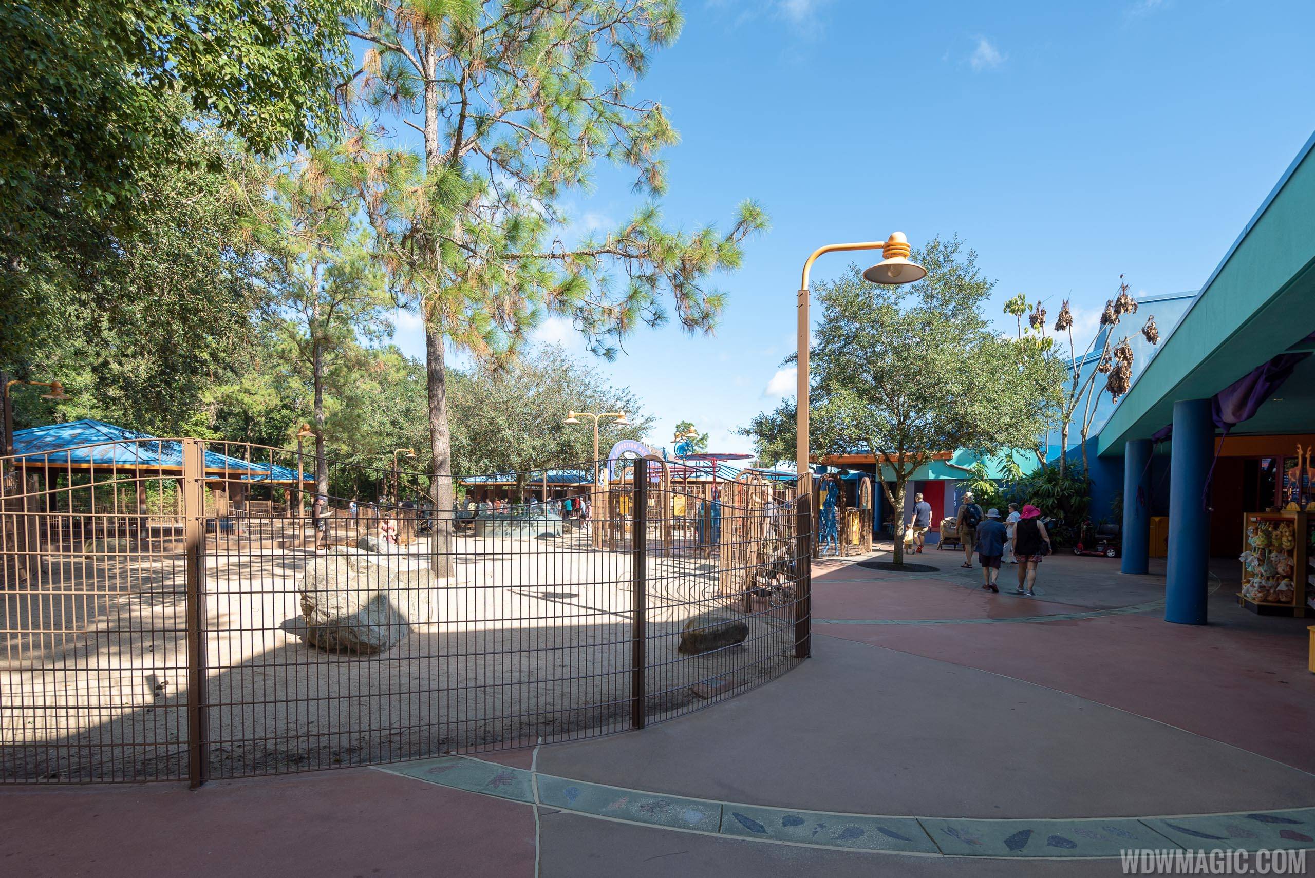 Rafiki's Planet Watch