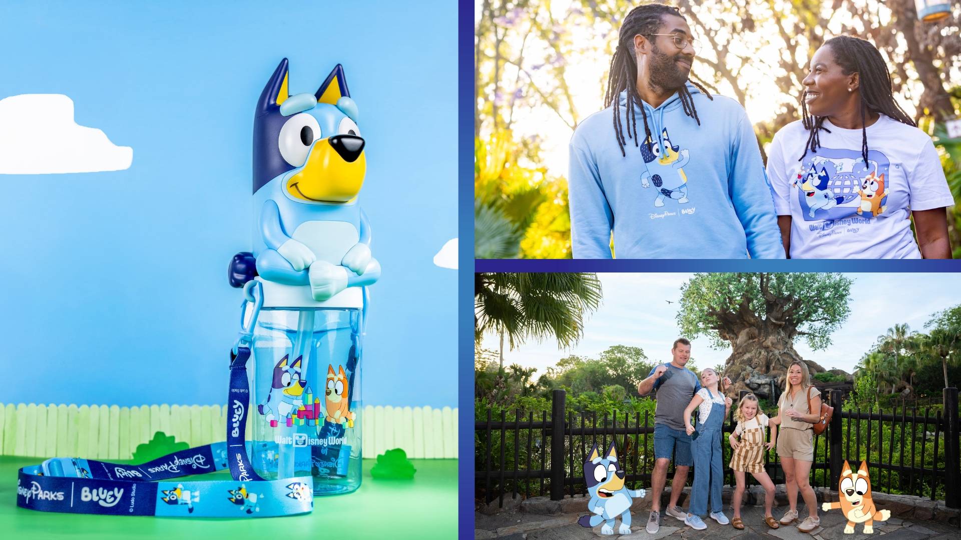 Complete Guide to Bluey's Wild World at Disney's Animal Kingdom