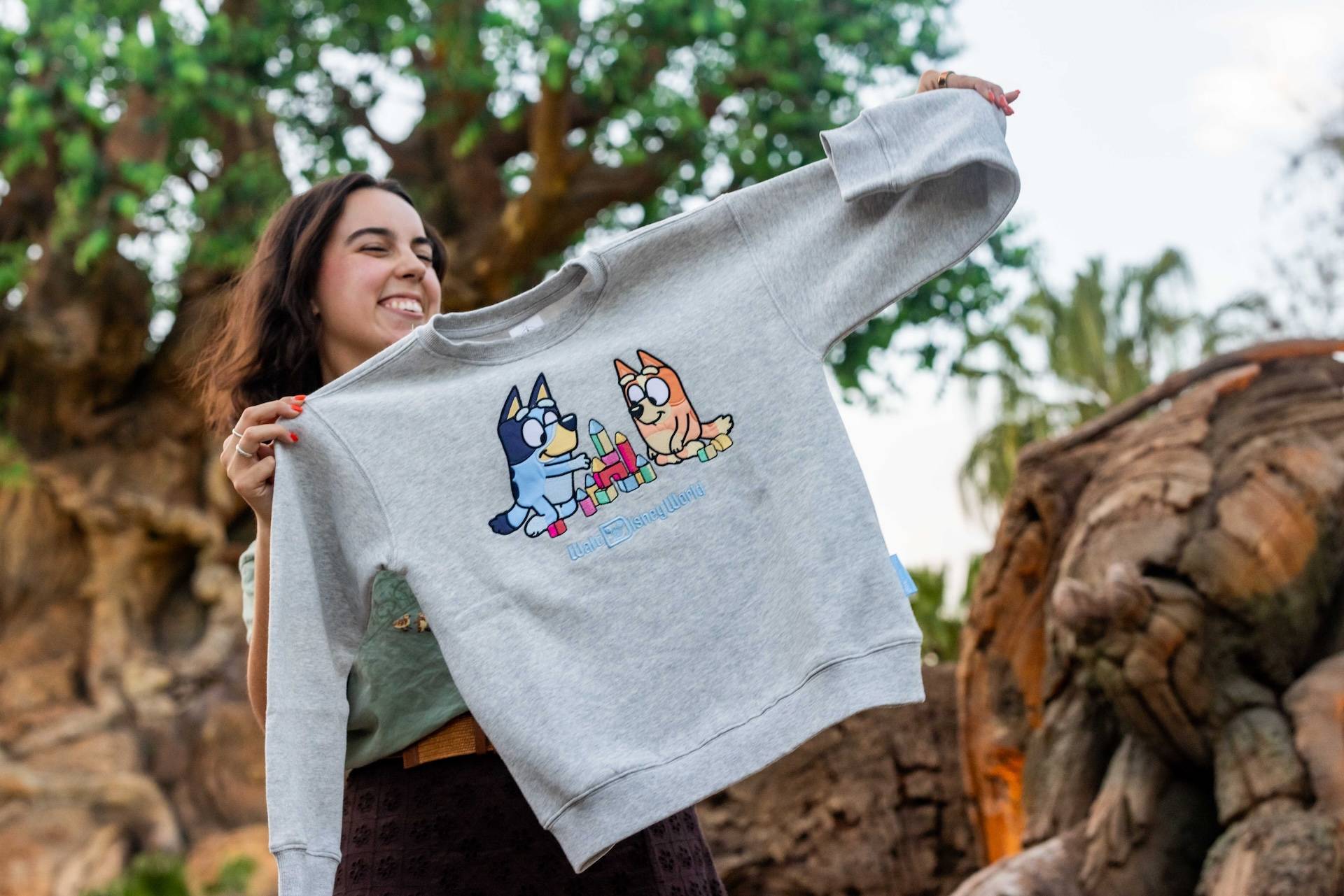 Bluey Merchandise