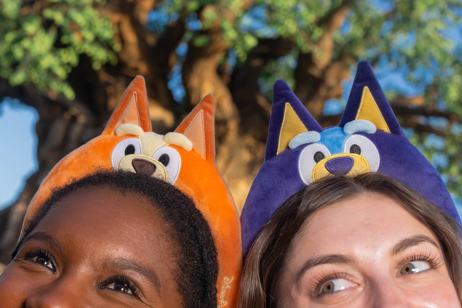 Bluey Merchandise